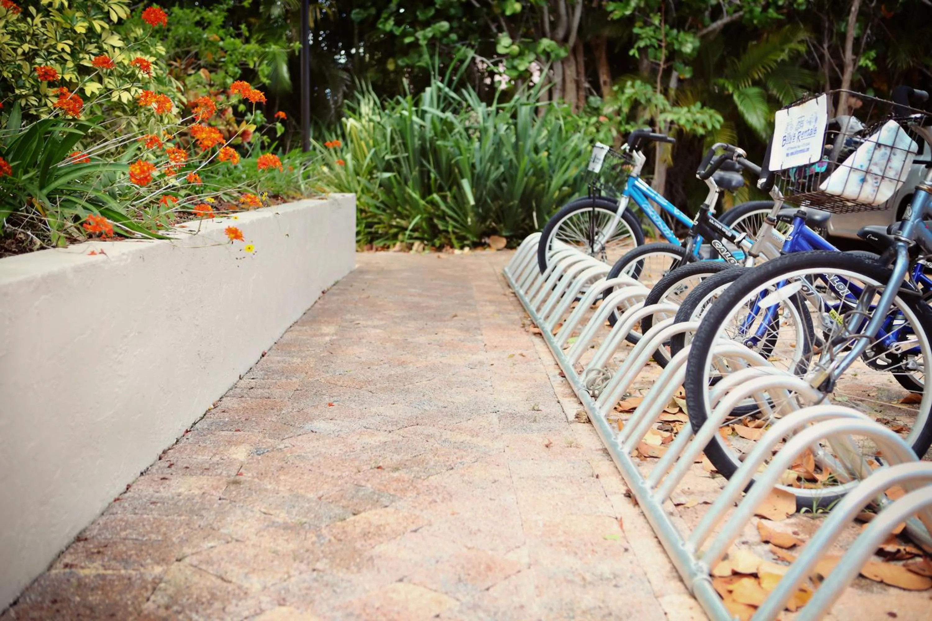 Cycling in Sanibel Moorings Resort