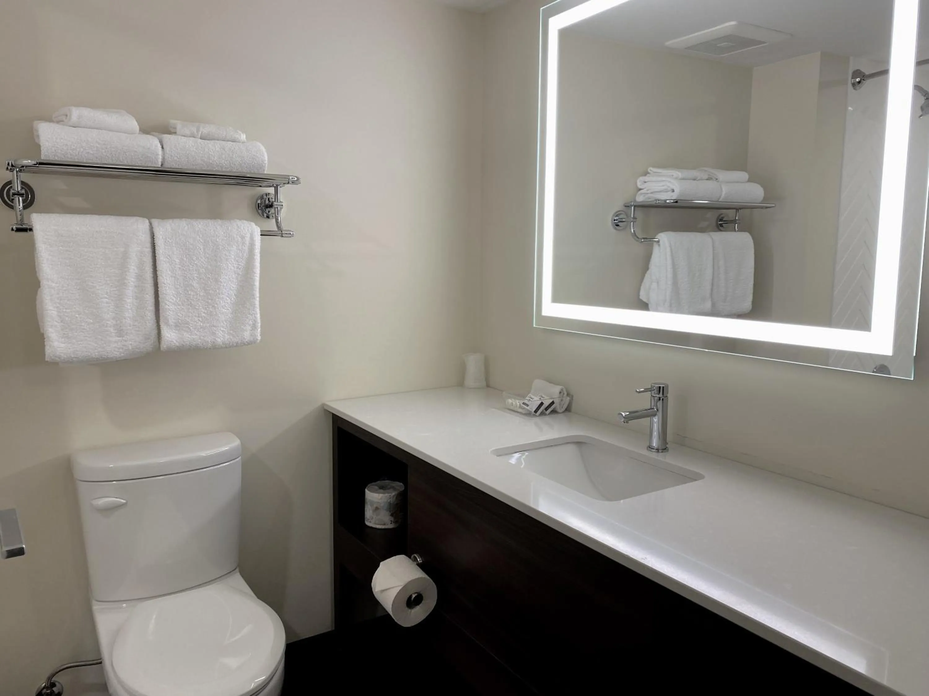 Toilet in Holiday Inn Victoria - Elk Lake by IHG