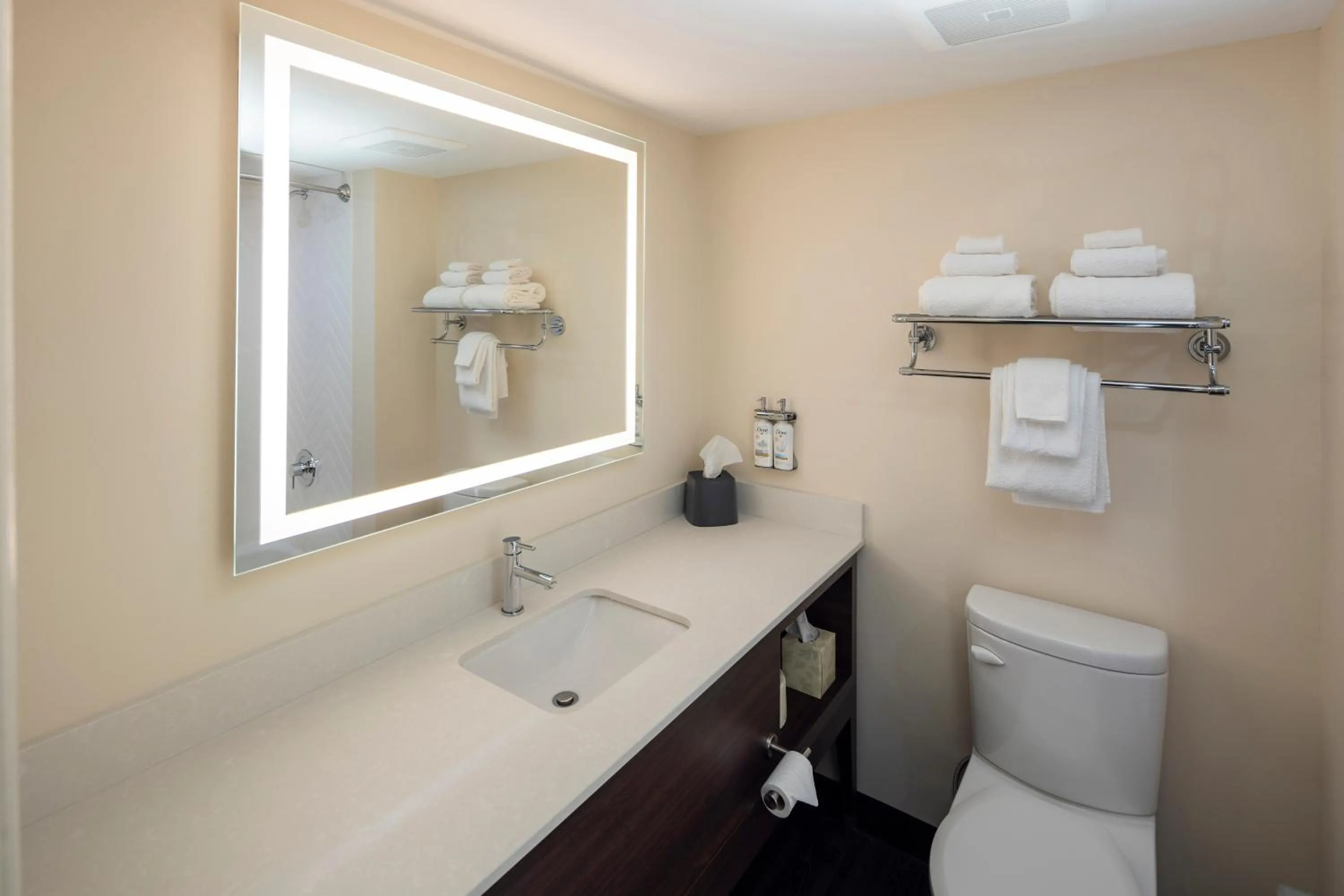 Toilet in Holiday Inn Victoria - Elk Lake by IHG