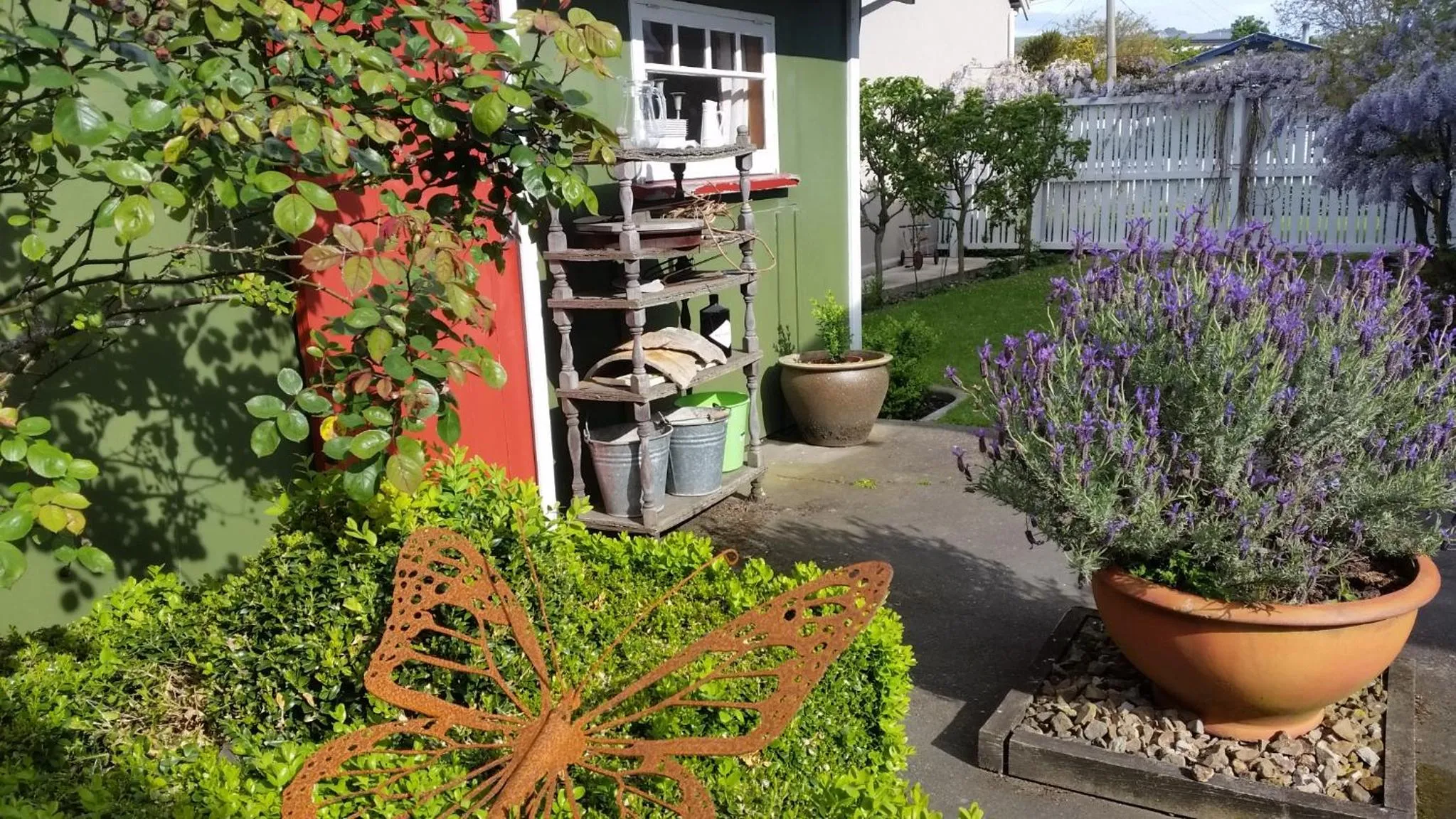 Garden in Designer Cottage