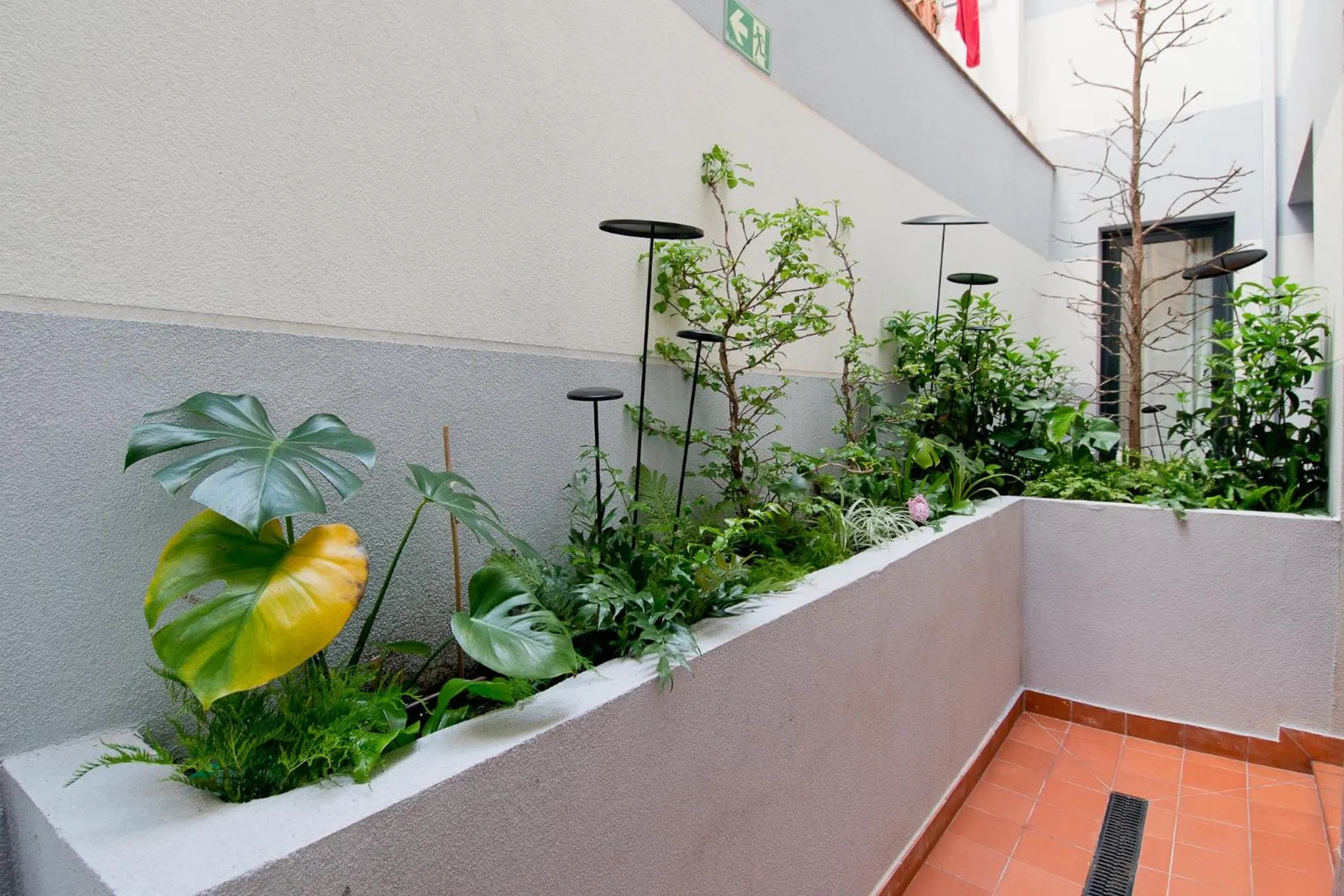 Patio in Amor de Dios 17 Boutique Apartments