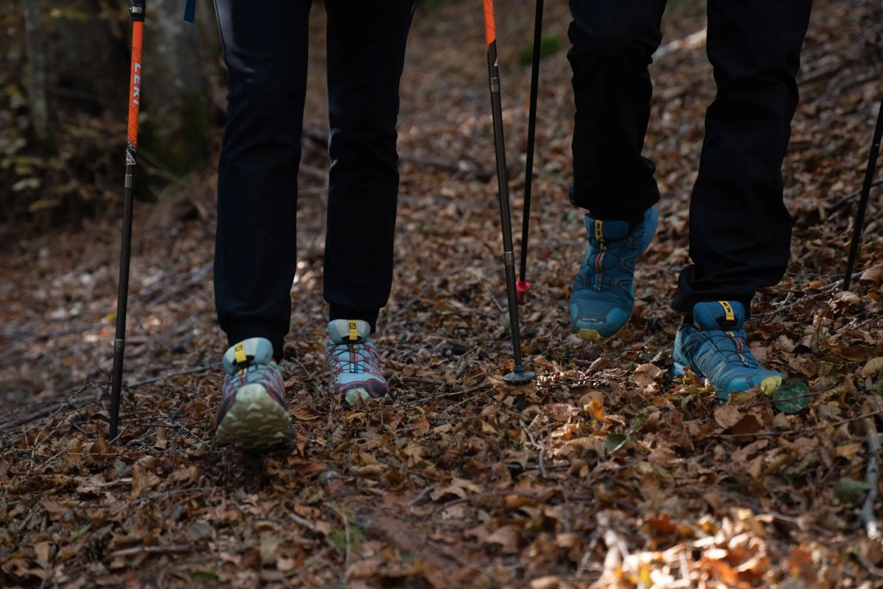 Al Sole Mountain Chic