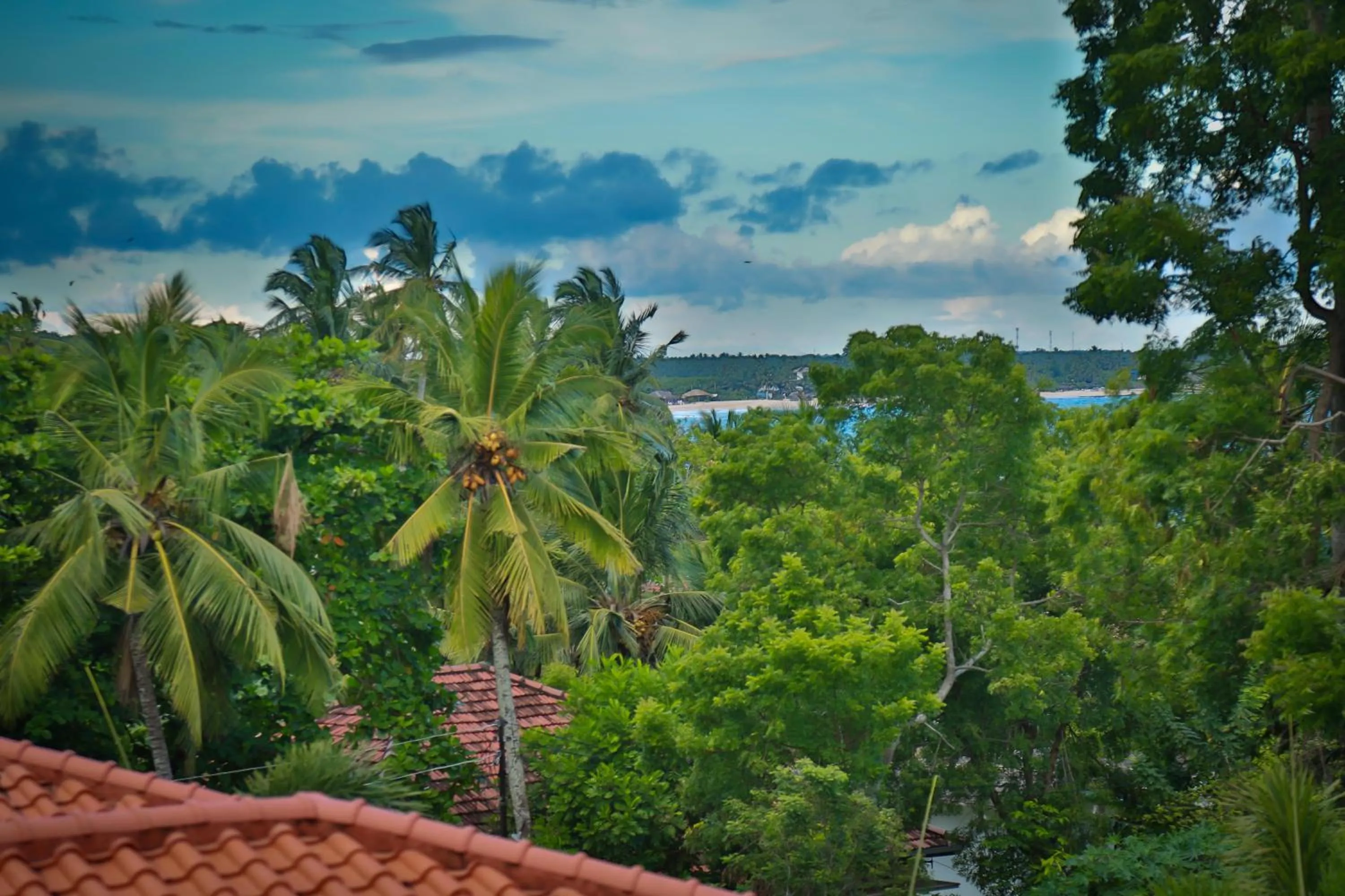 Restaurant/places to eat in BV Residence