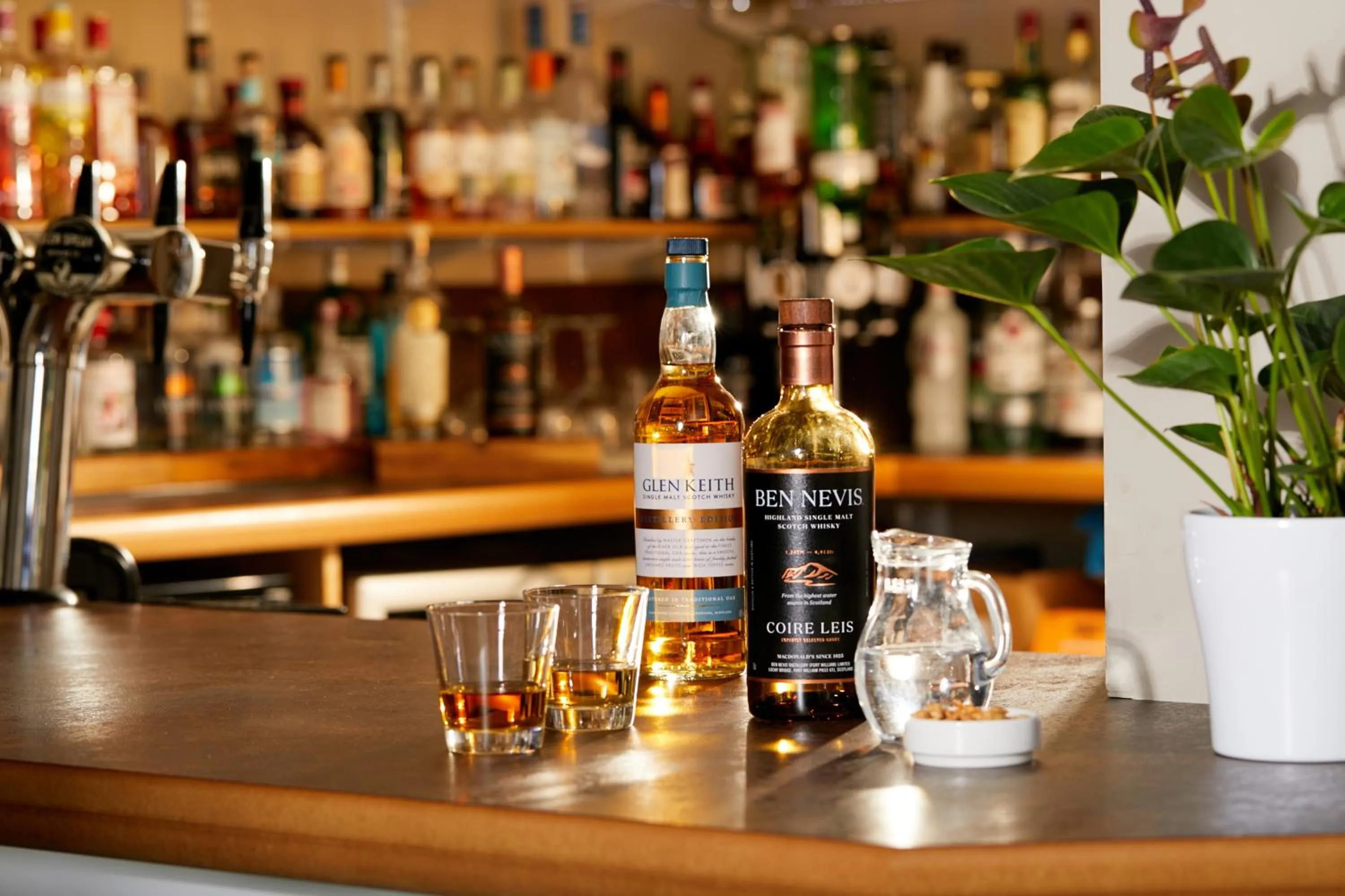 Lounge or bar in Clan Macduff Hotel