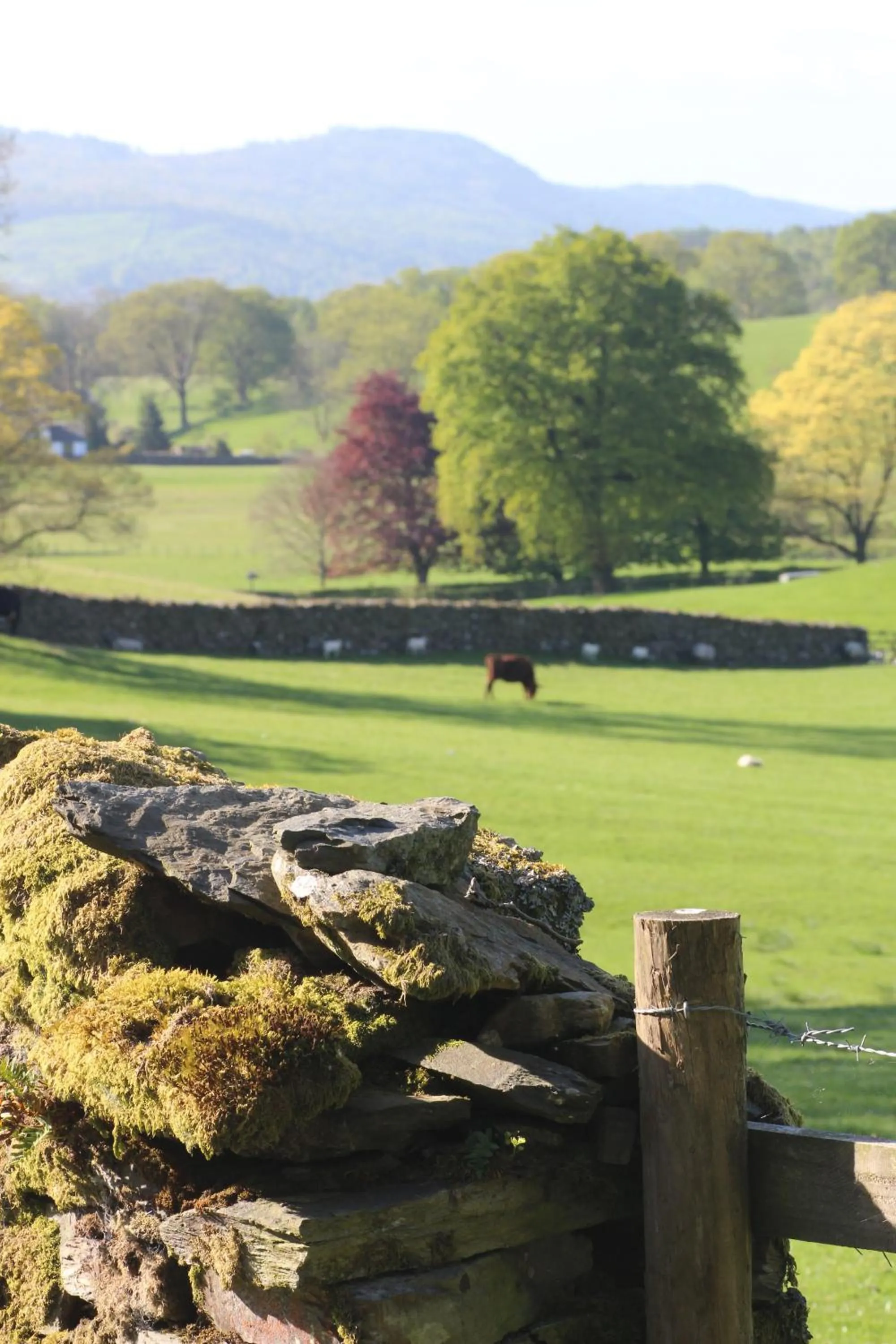 Natural landscape in The Cuckoo Brow Inn