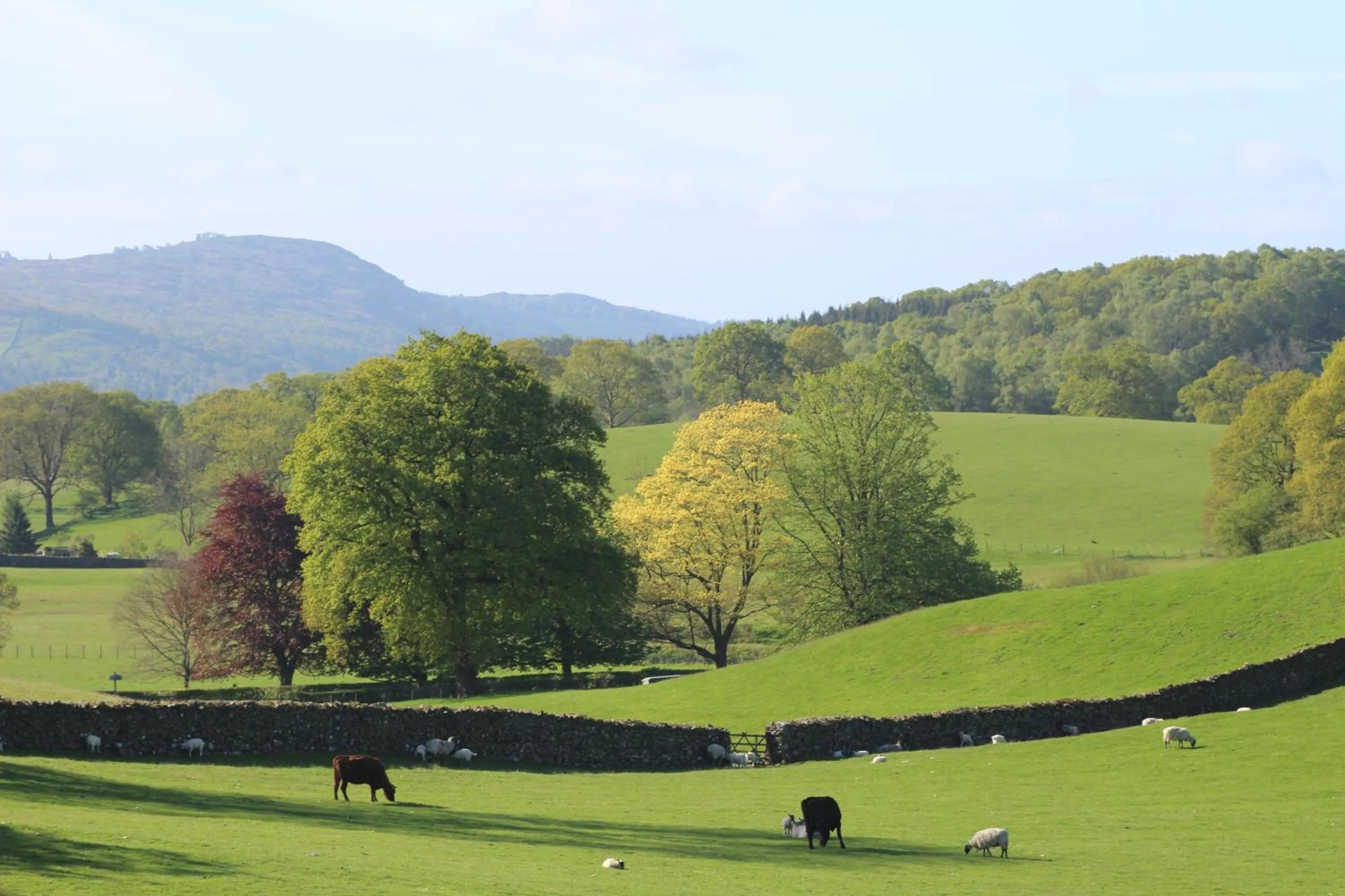 Natural landscape in The Cuckoo Brow Inn