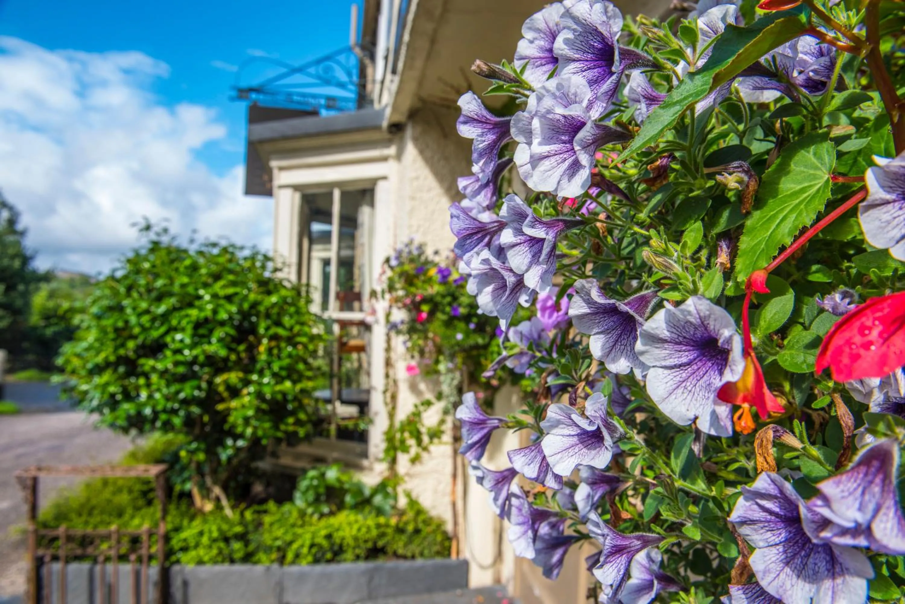 Decorative detail in The Cuckoo Brow Inn