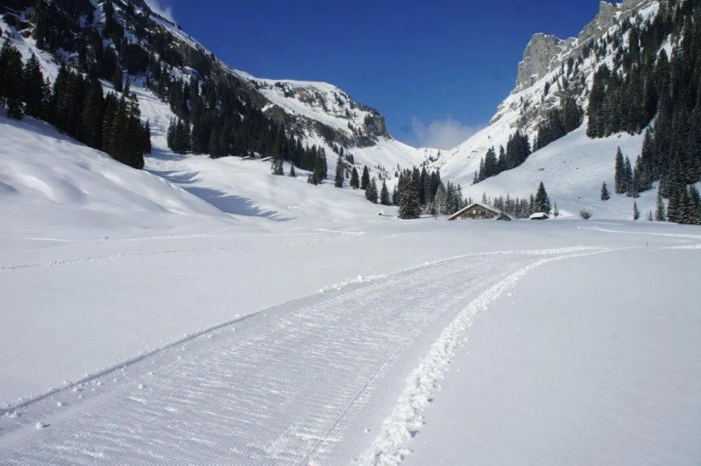 Natural landscape in Hotel Rothorn Vintage-Style