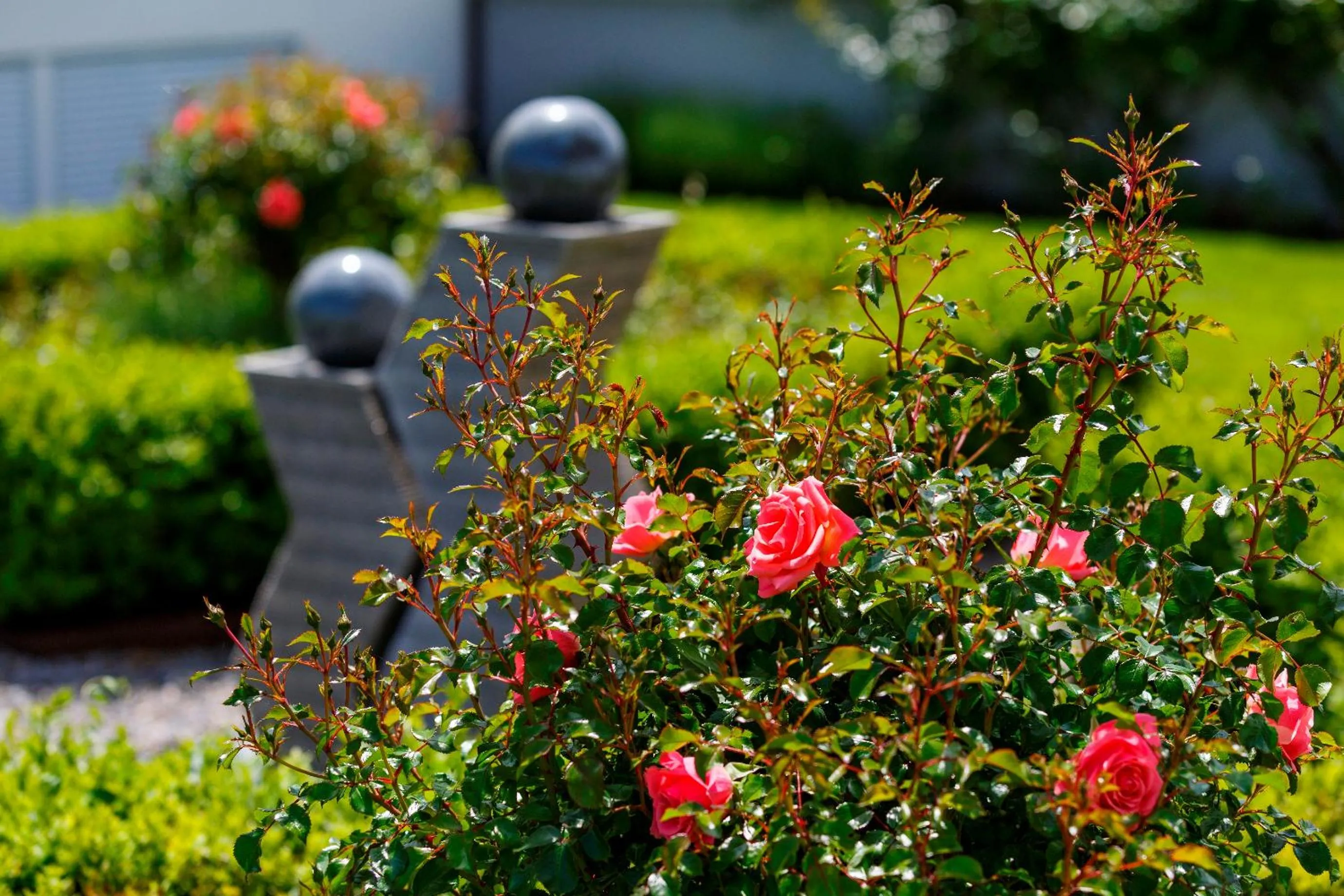 Garden in Seemöwe Swiss Quality Hotel