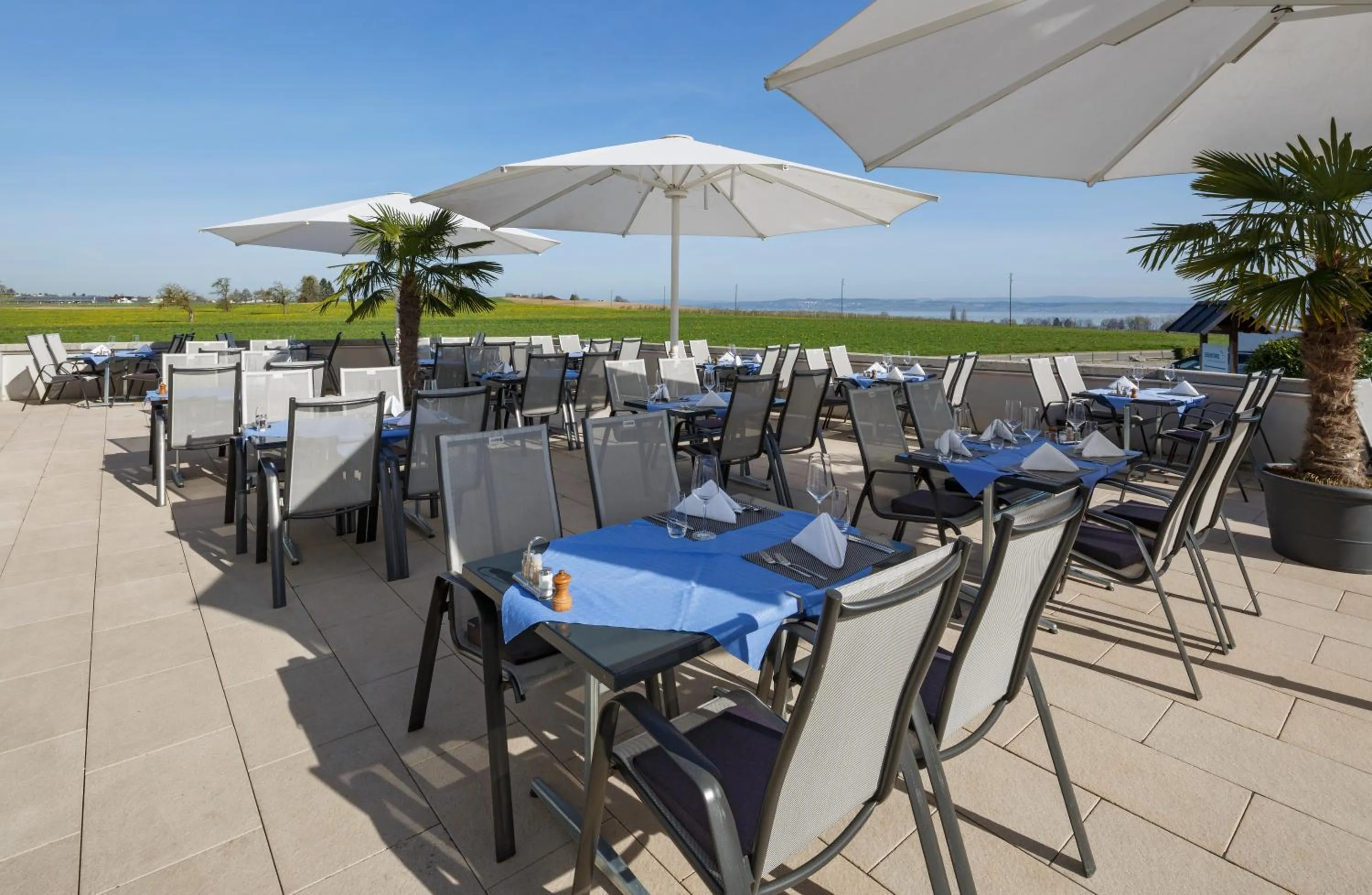 Restaurant/places to eat in Seemöwe Swiss Quality Hotel