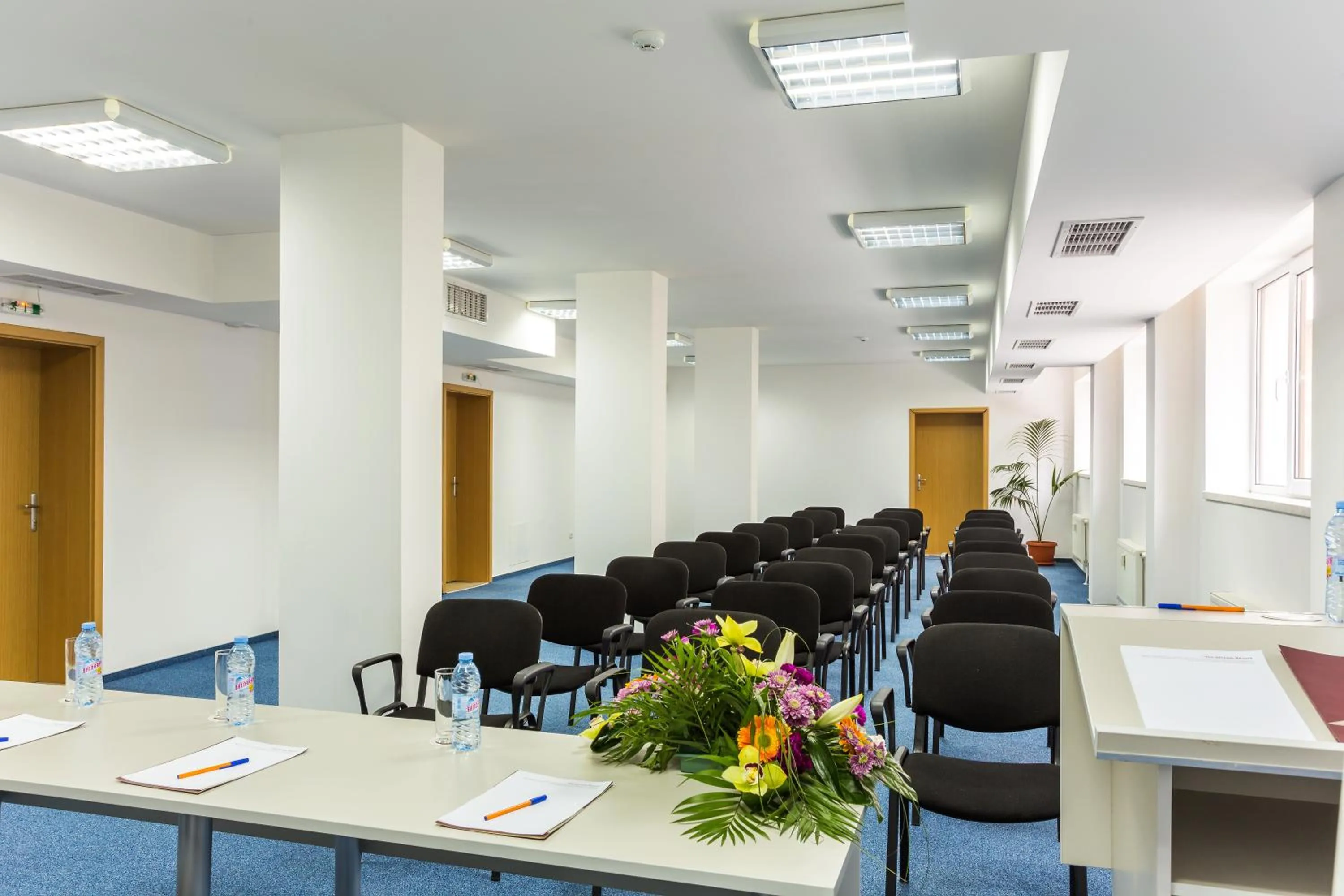 Business facilities in The Stream Resort Pamporovo