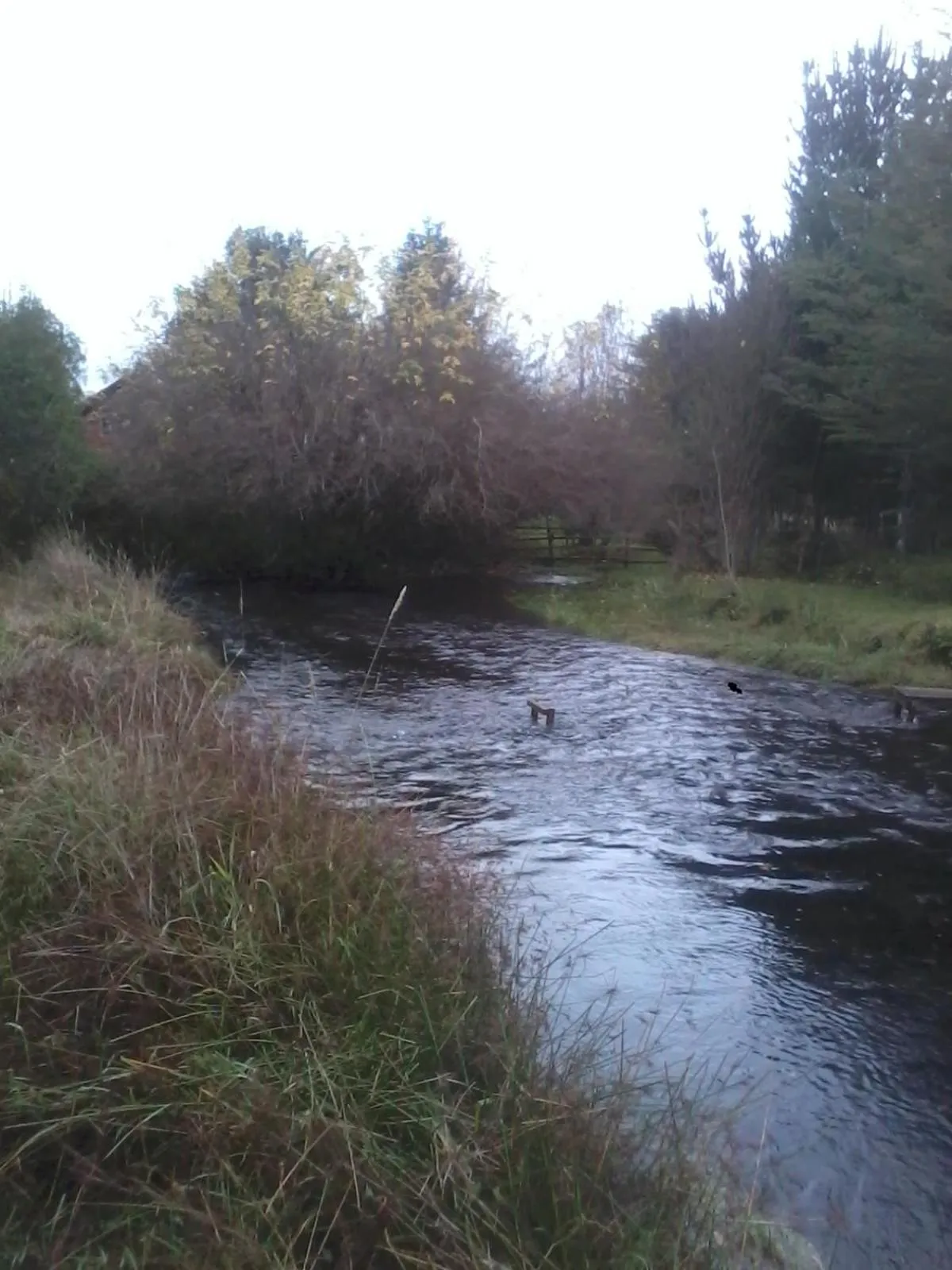 Natural landscape in Cabaña Camino al Volcán