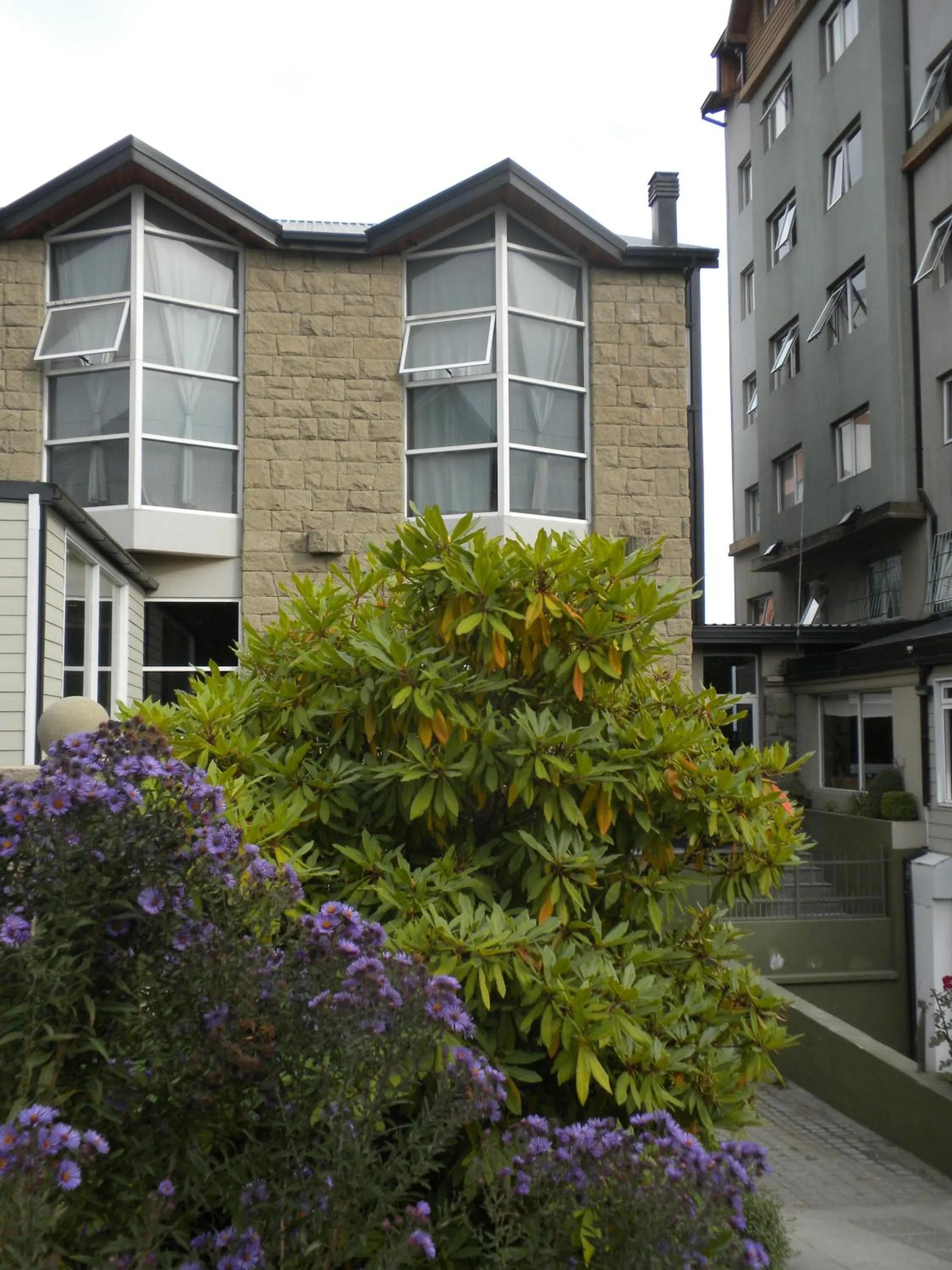 Garden view in Patagonia Sur Hotel