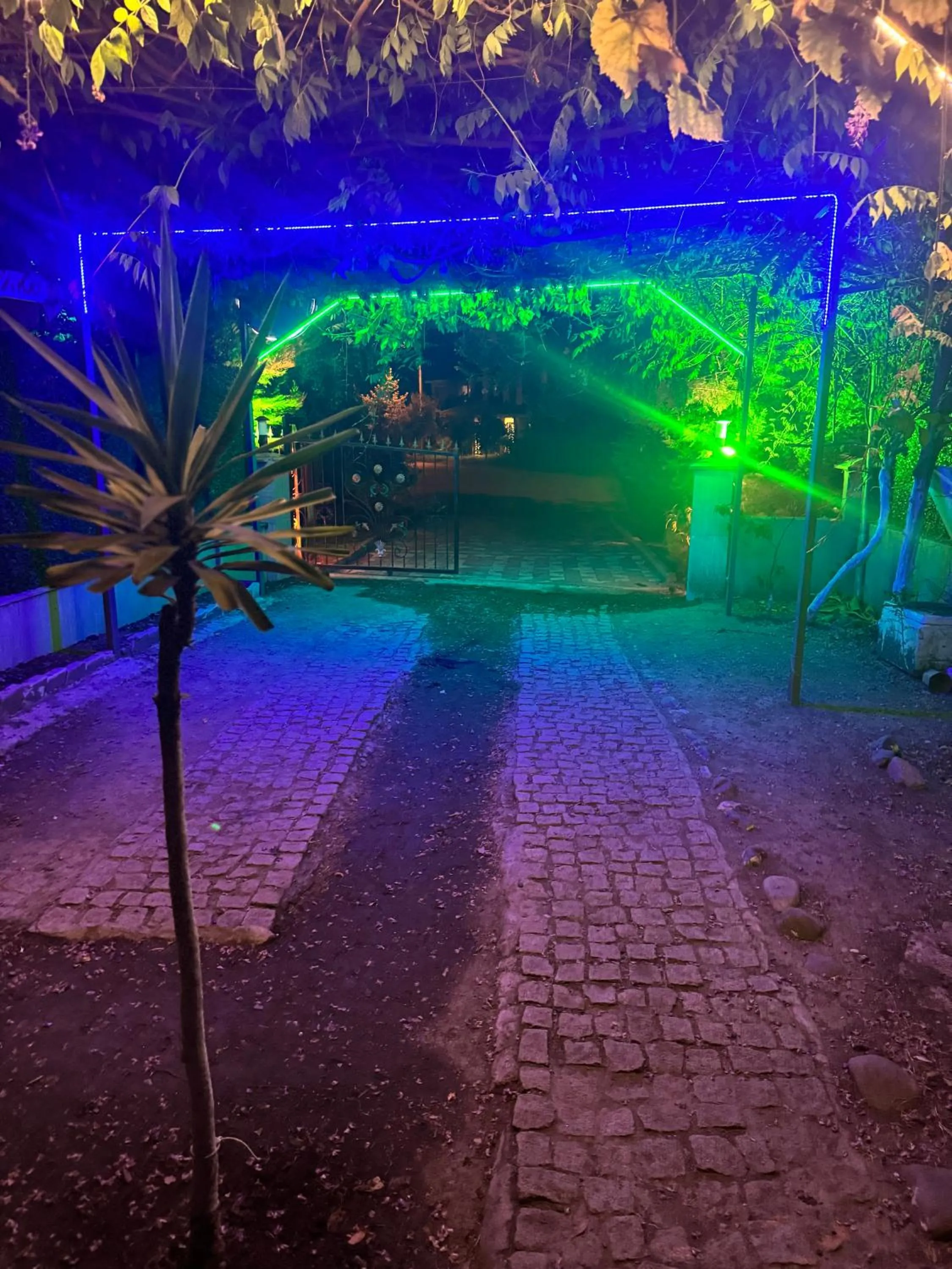 Night in Villa Balım