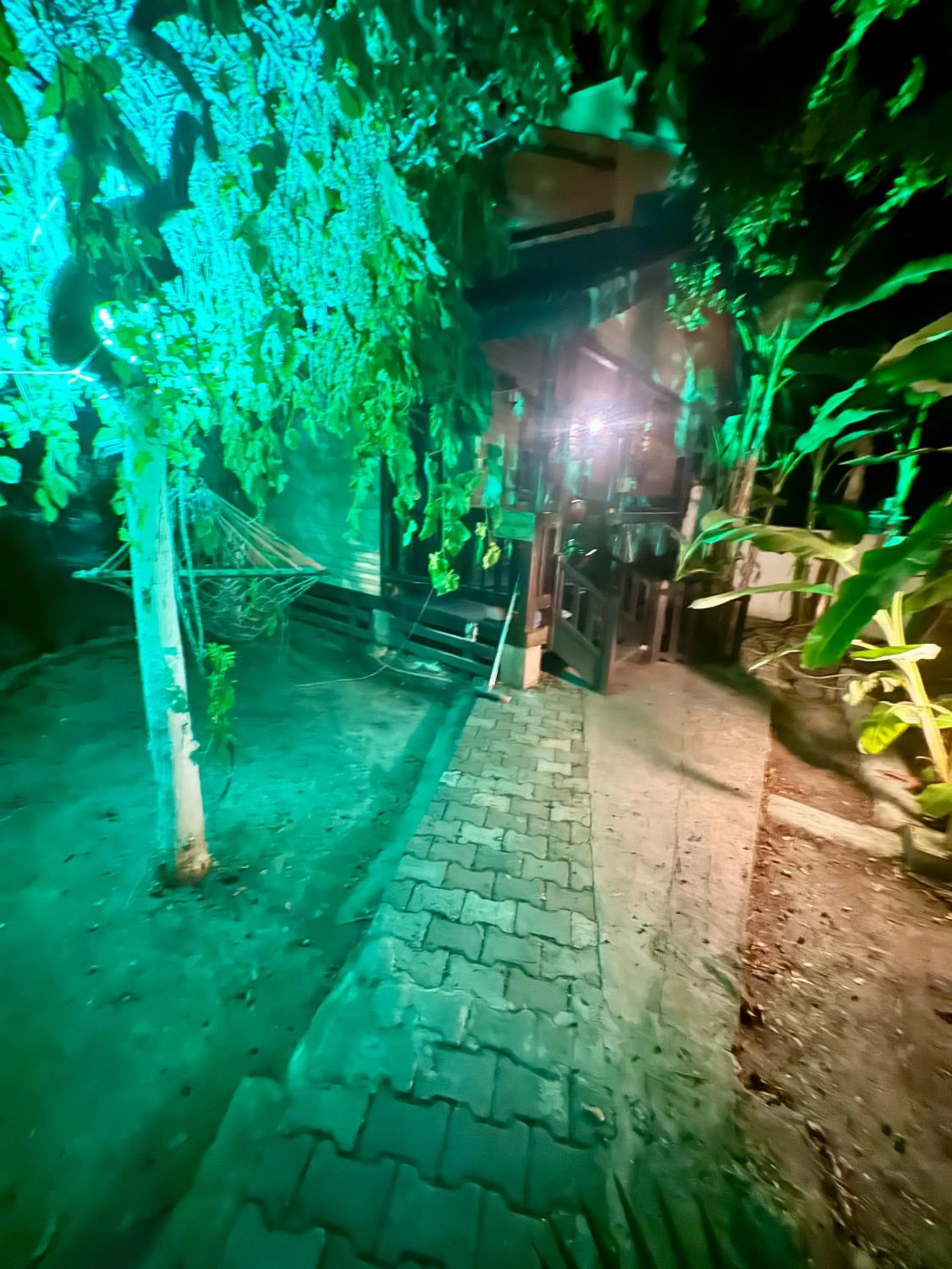 Night in Villa Balım