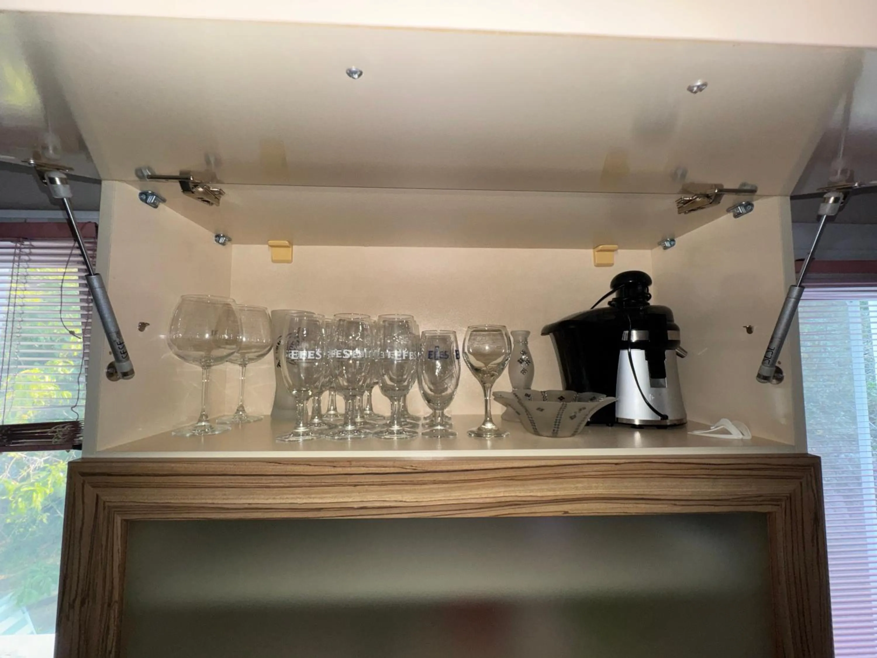 Kitchen or kitchenette in Villa Balım