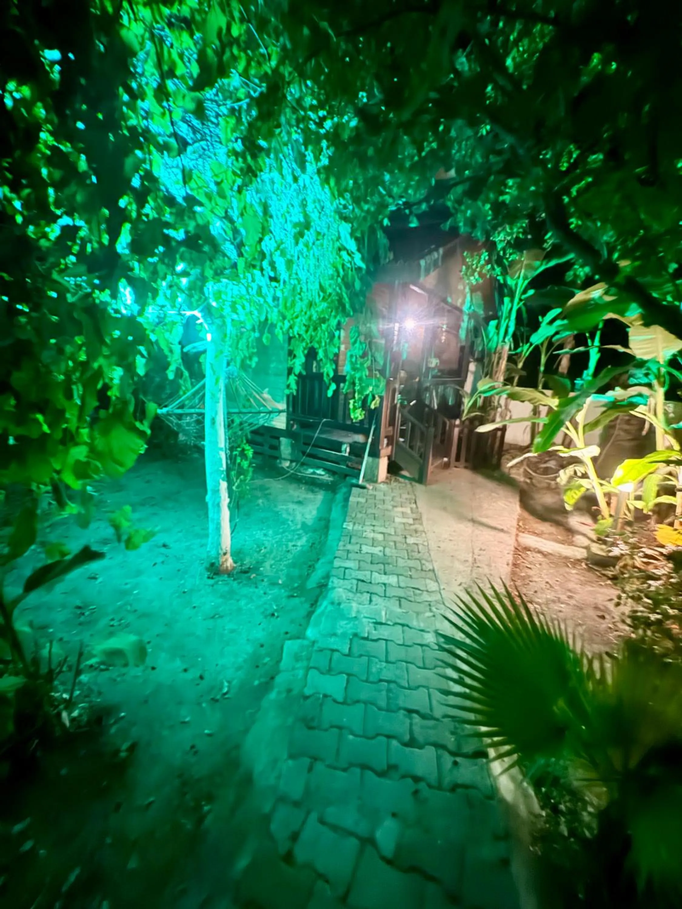 Night in Villa Balım