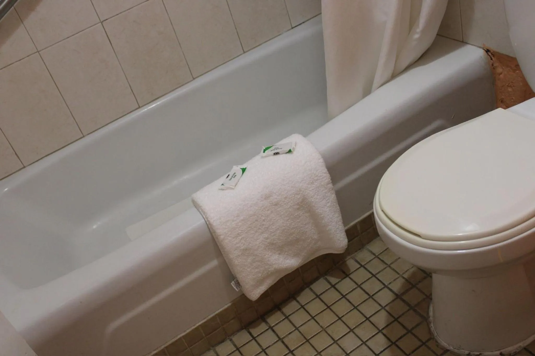 Executive Economy Lodge