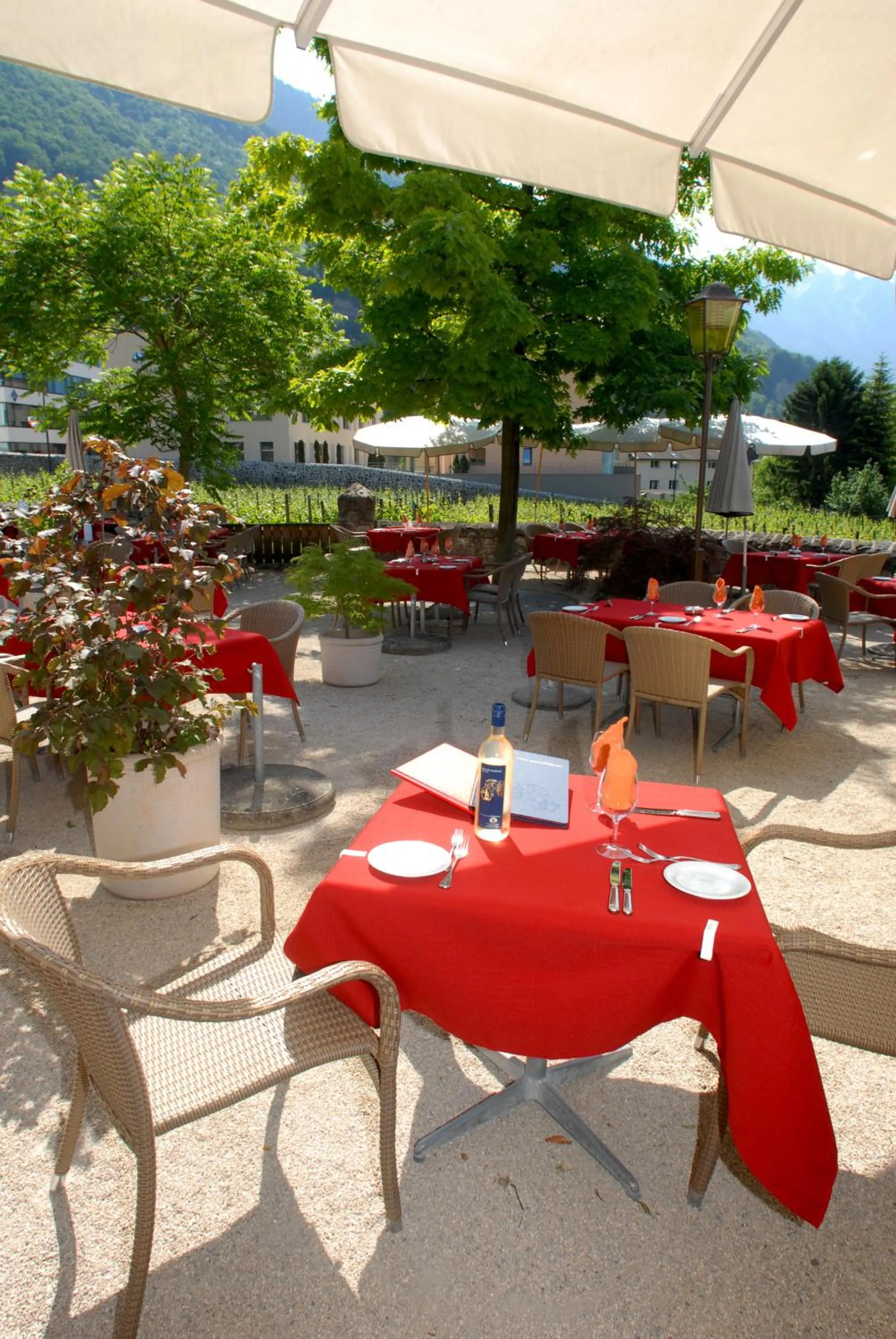 Balcony/Terrace in Hotel Gasthof Löwen