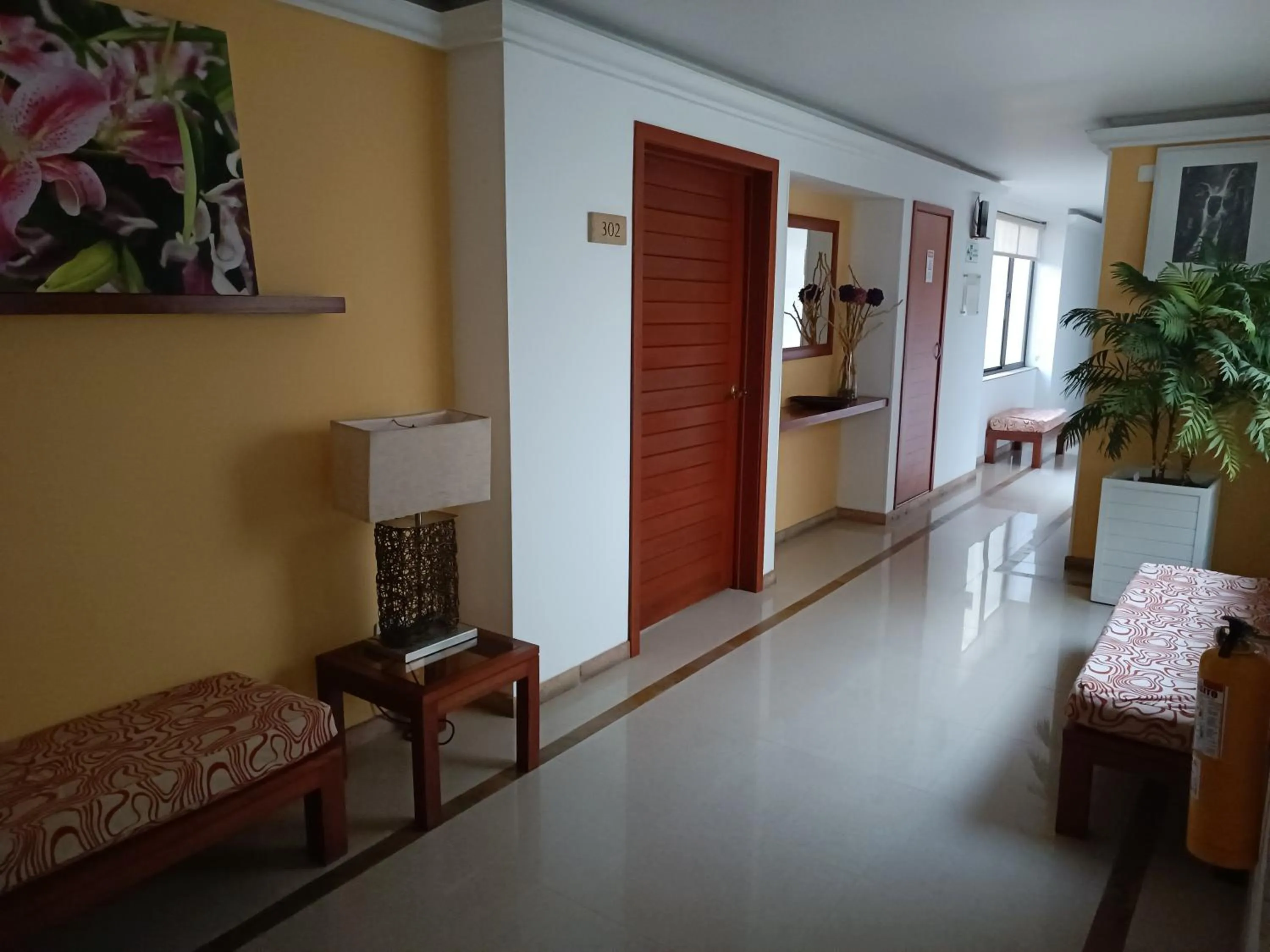 Area and facilities in Hotel Boutique Confort Suites