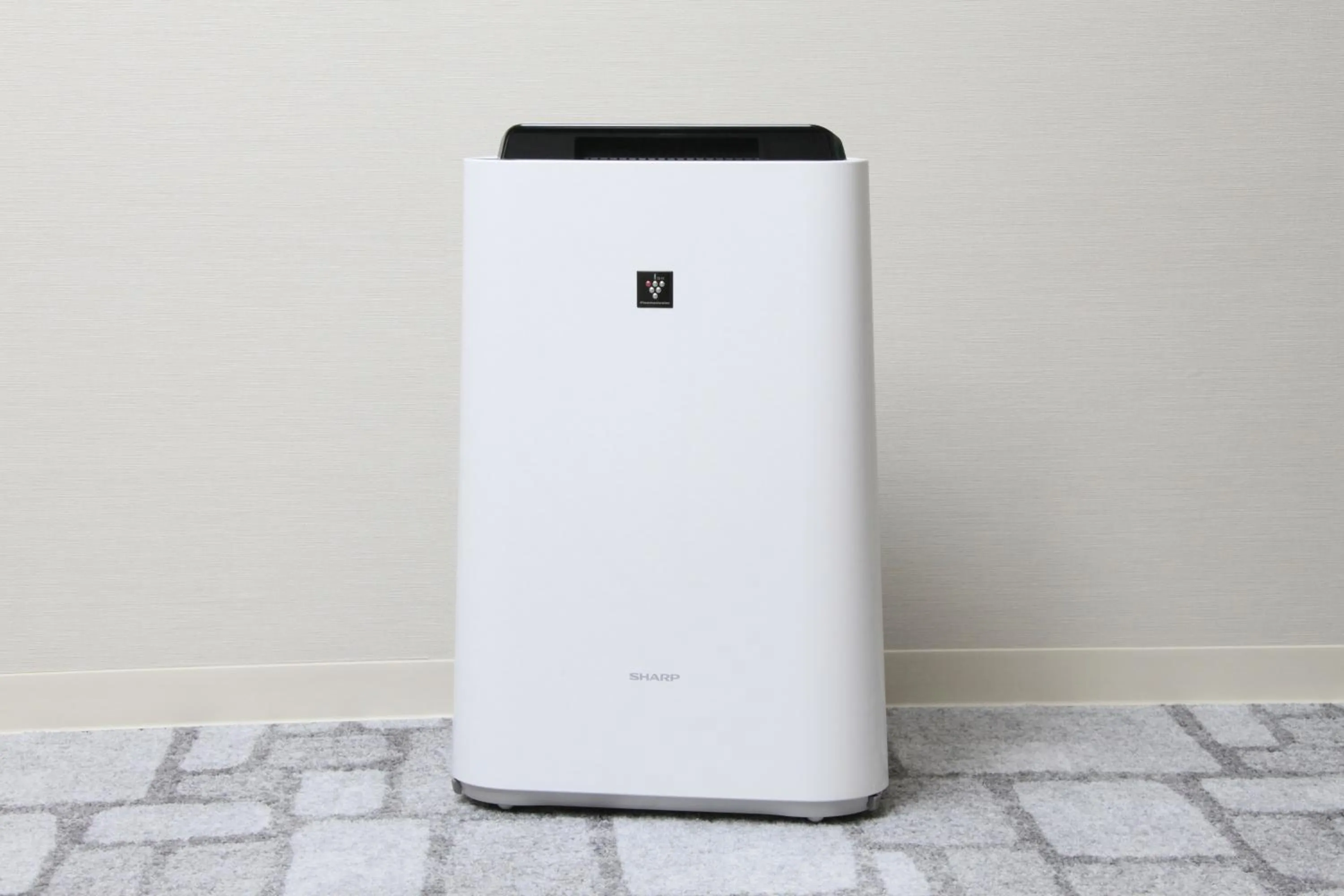 Decorative detail in Richmond Hotel Himeji