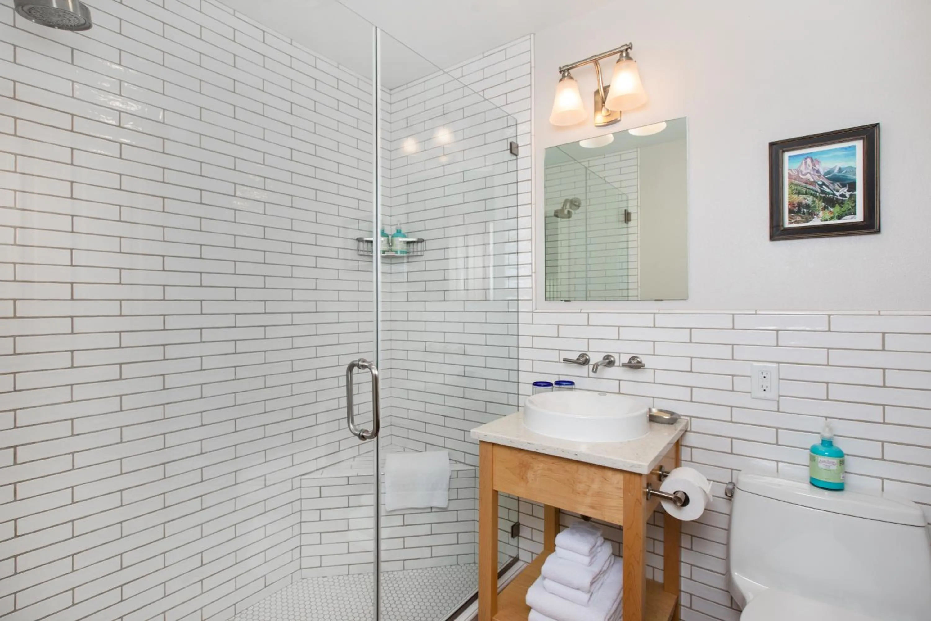 Shower in The Alpine House