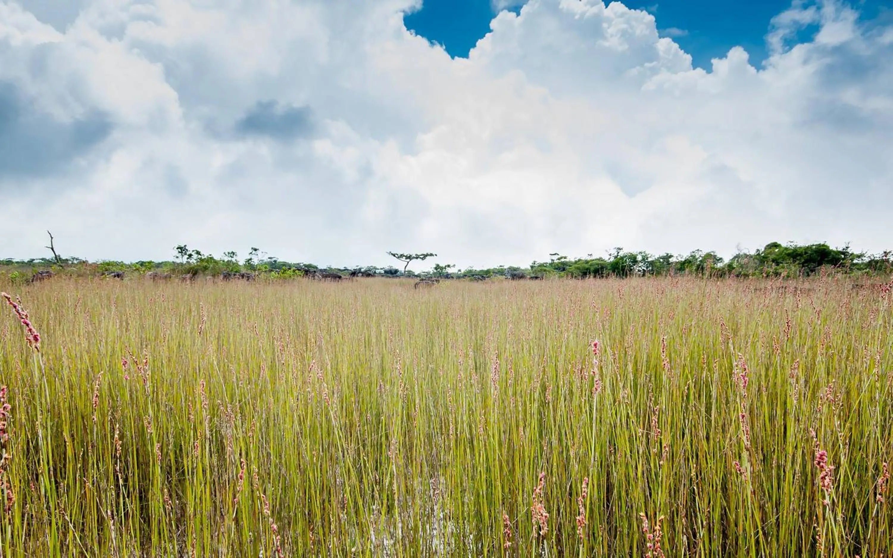 Landmark view in Le Bokor Palace