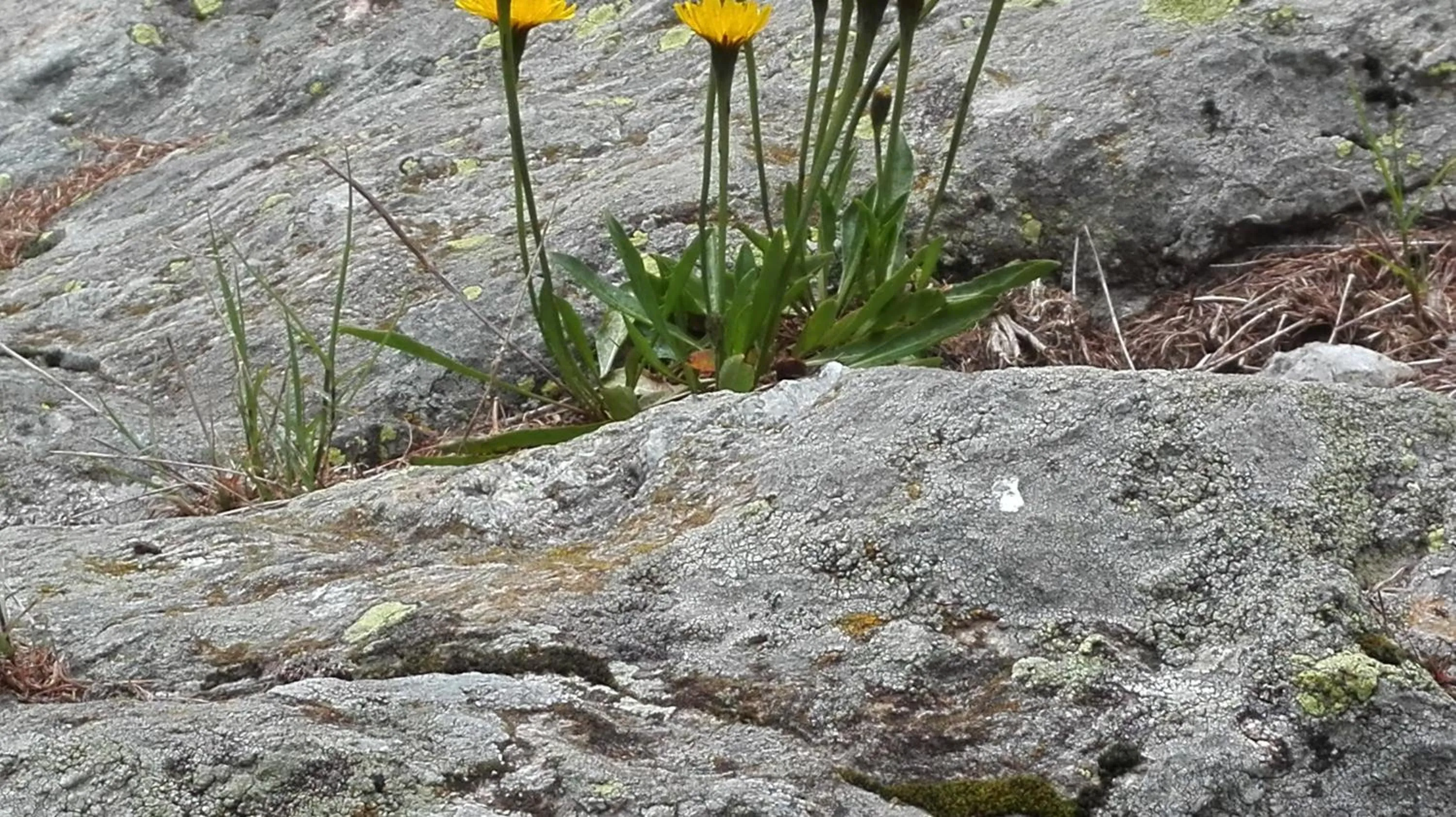 Day in Albergo Meublè Stelvio