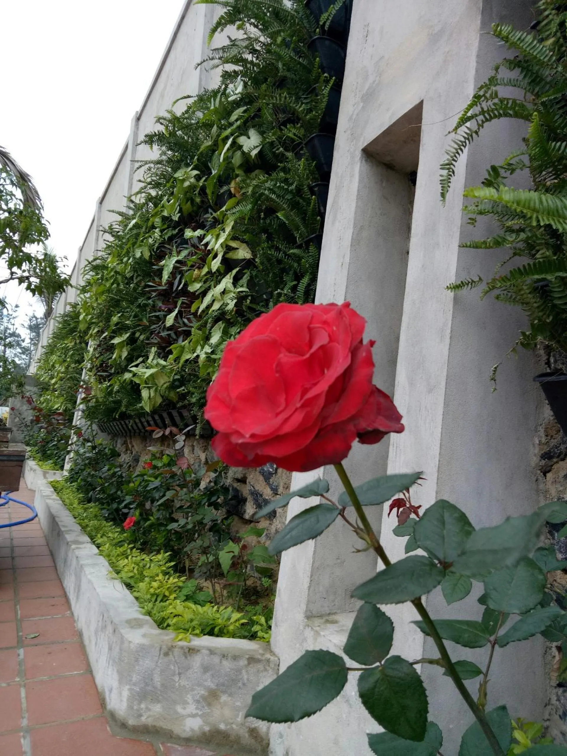 Natural landscape in Phu Cuong Beach Hotel
