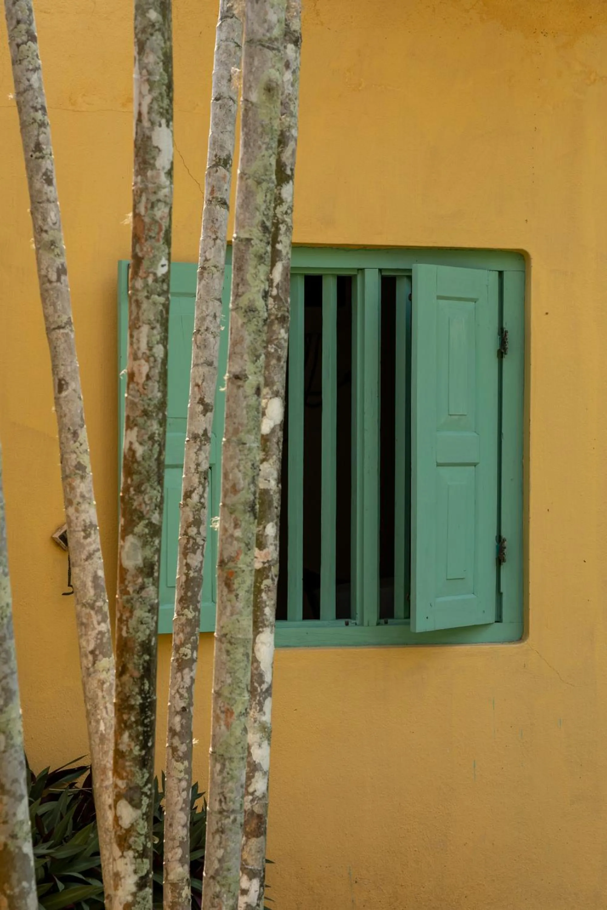 Property building in The Last House