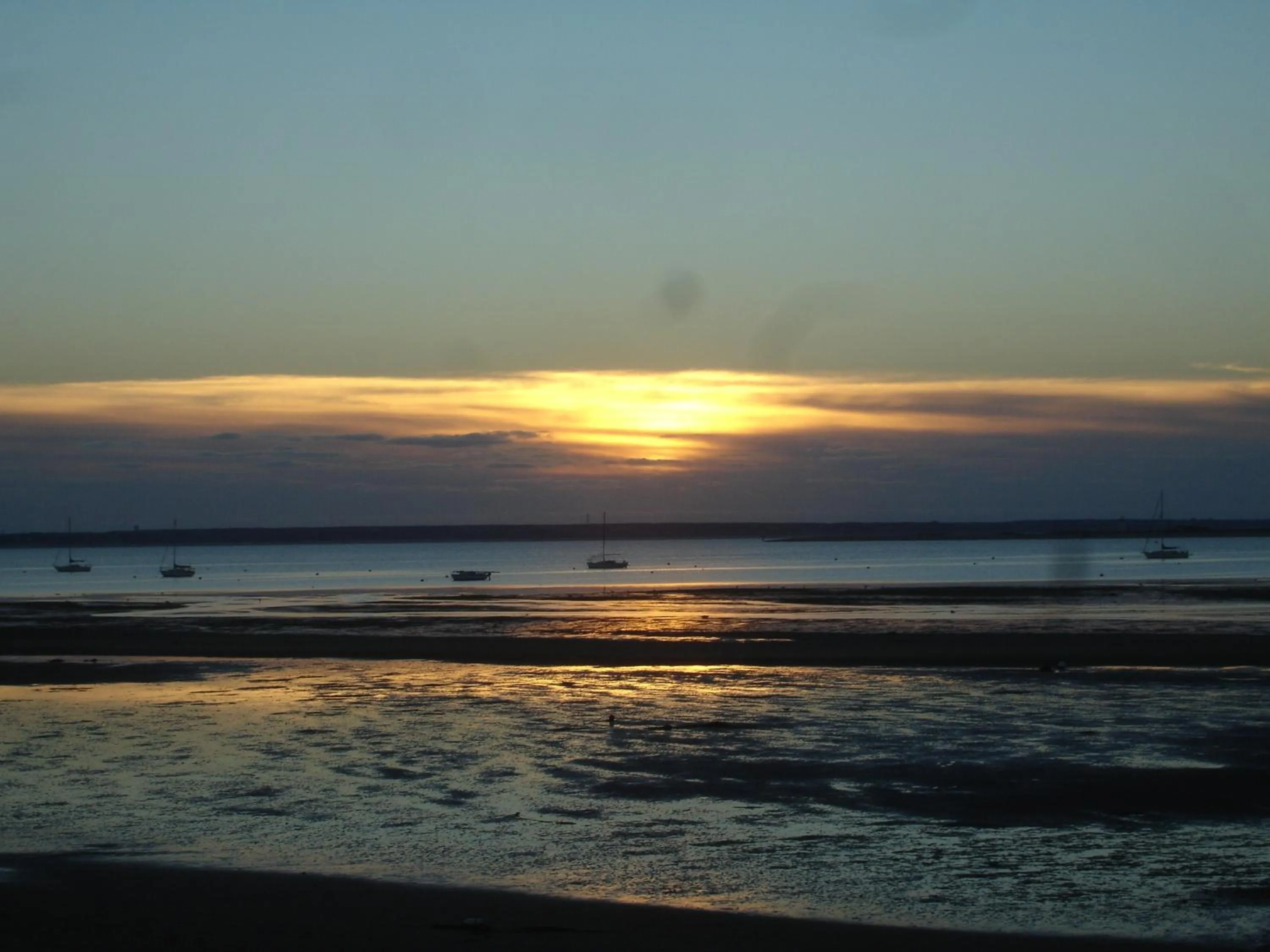 Beach in The Masthead Resort