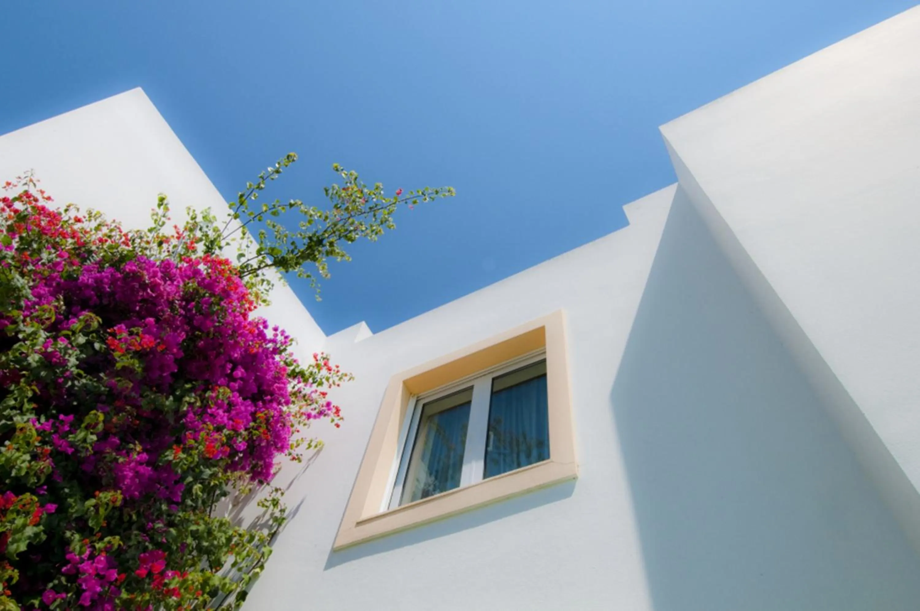 Property building in Alexandra Beach