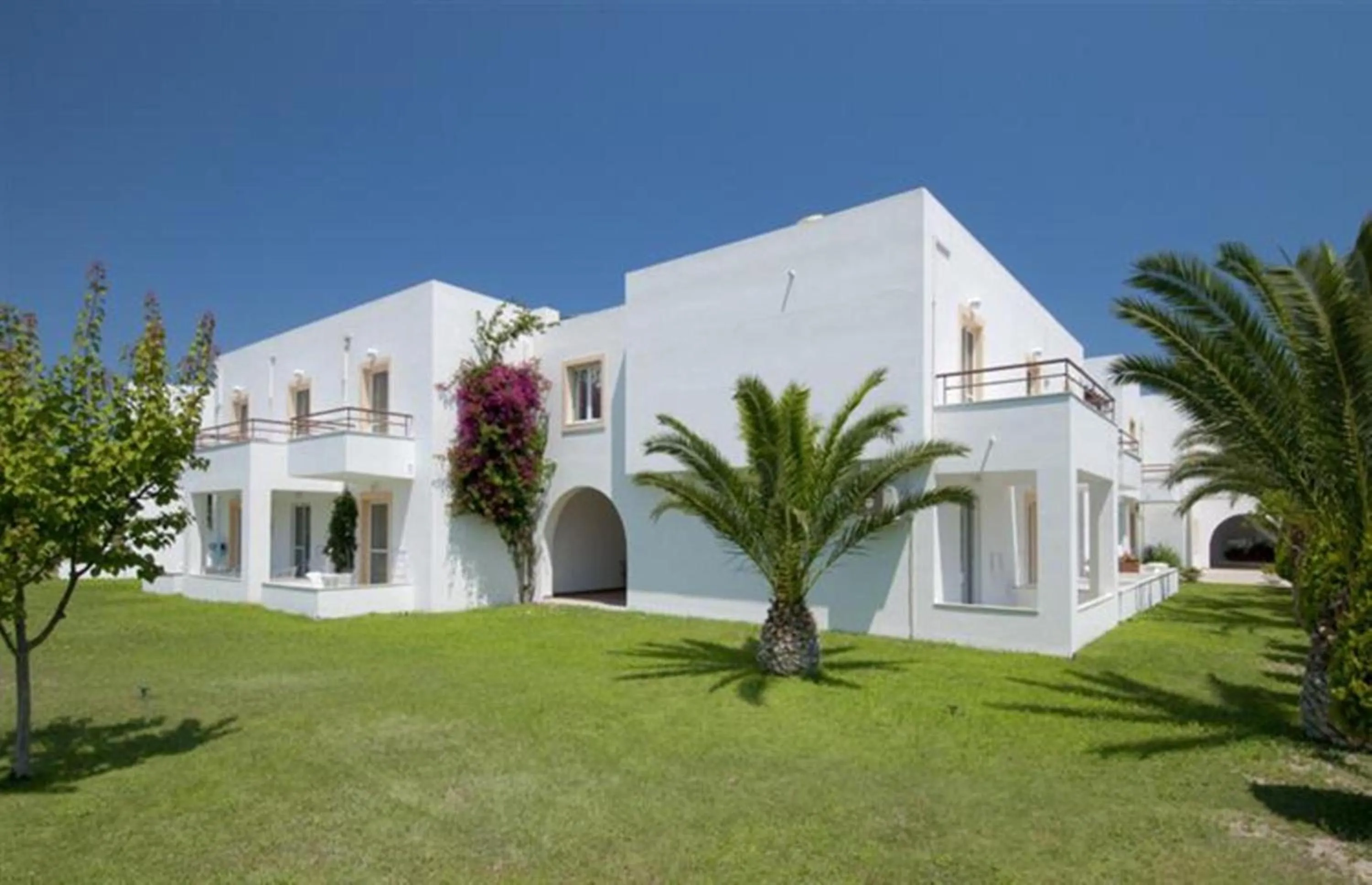 Garden in Alexandra Beach