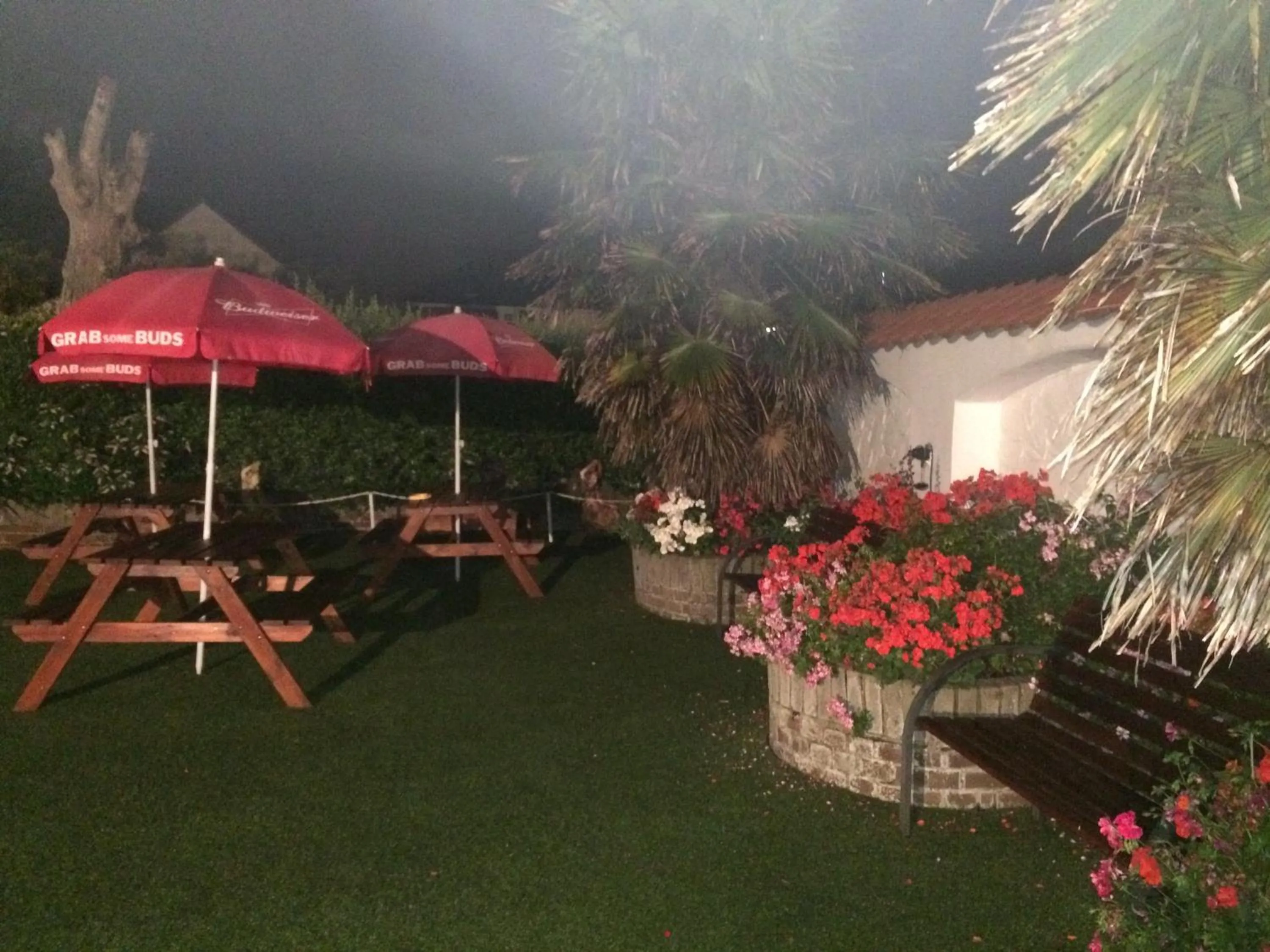 Garden in Hotel Victoria