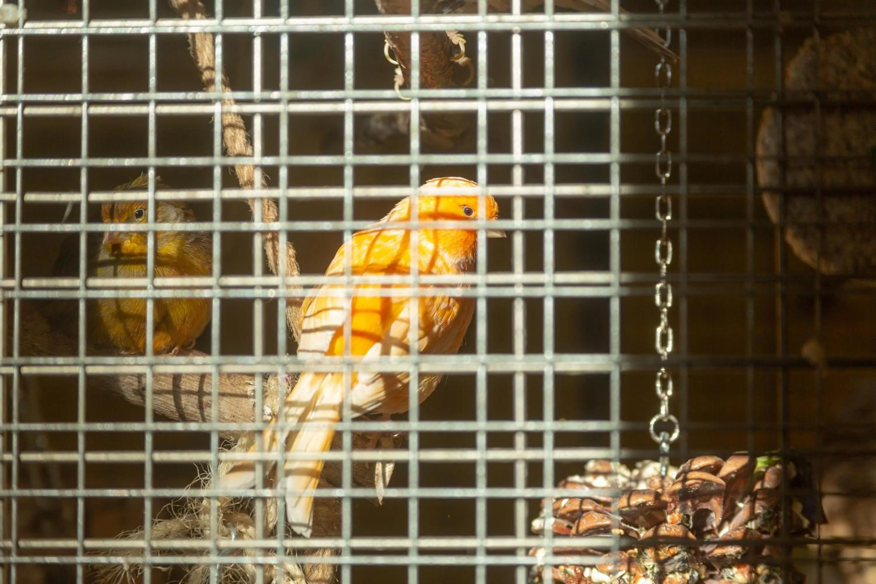 Hotel & Hostel Sandwirt