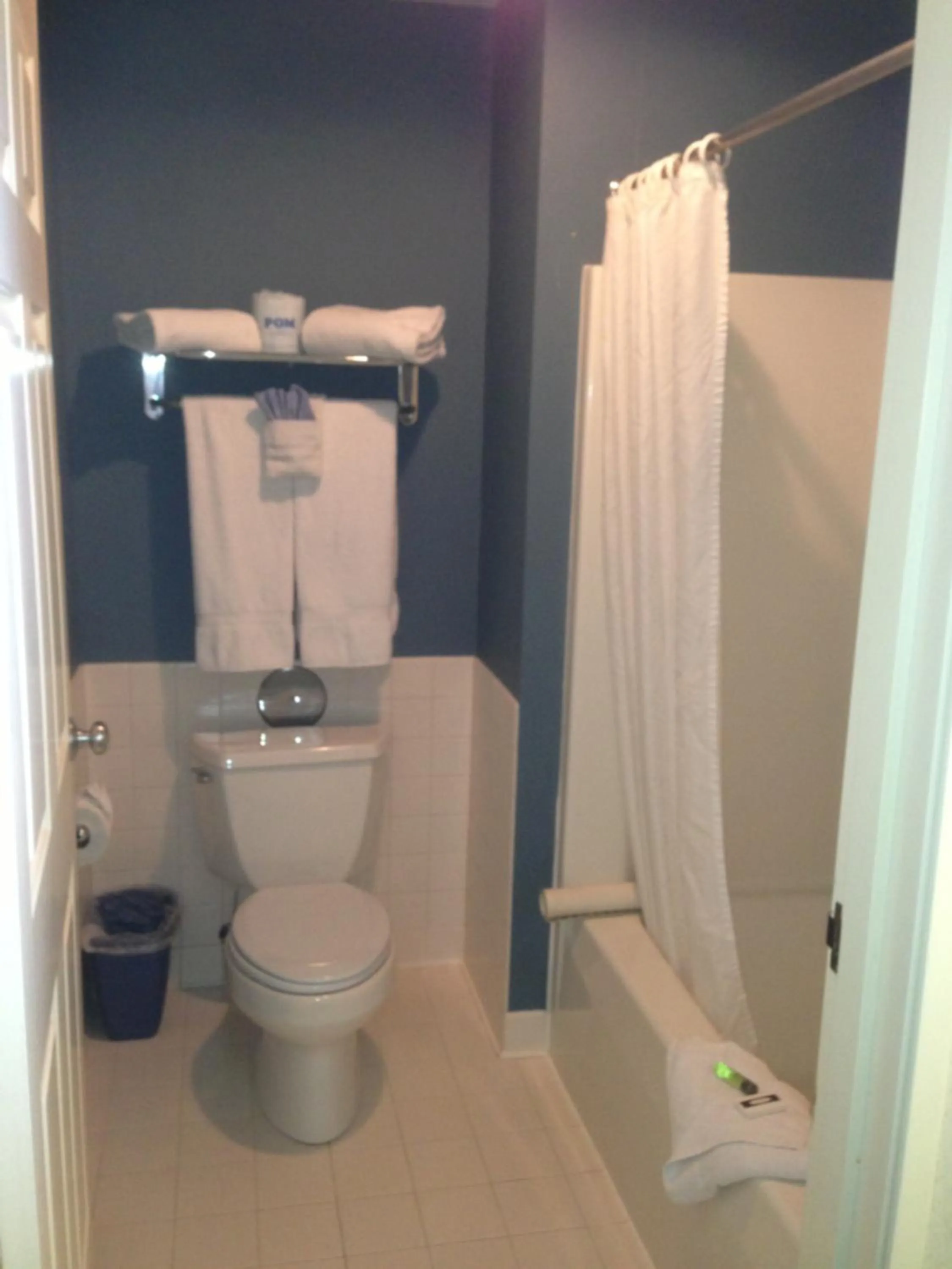 Toilet in Fontana Village Inn