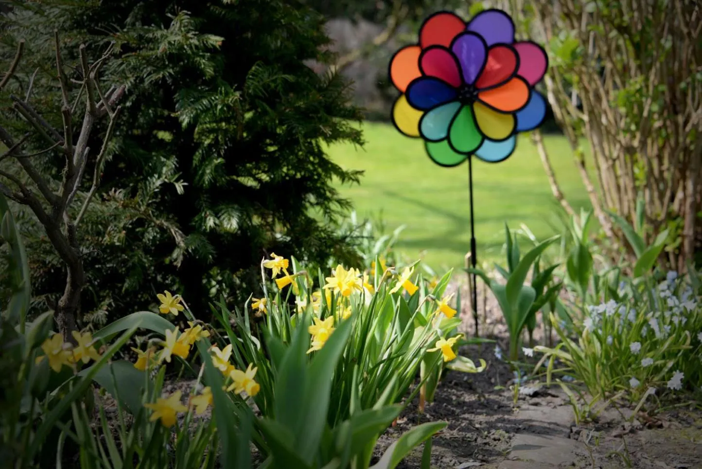 Notarishuis Beveren B&B