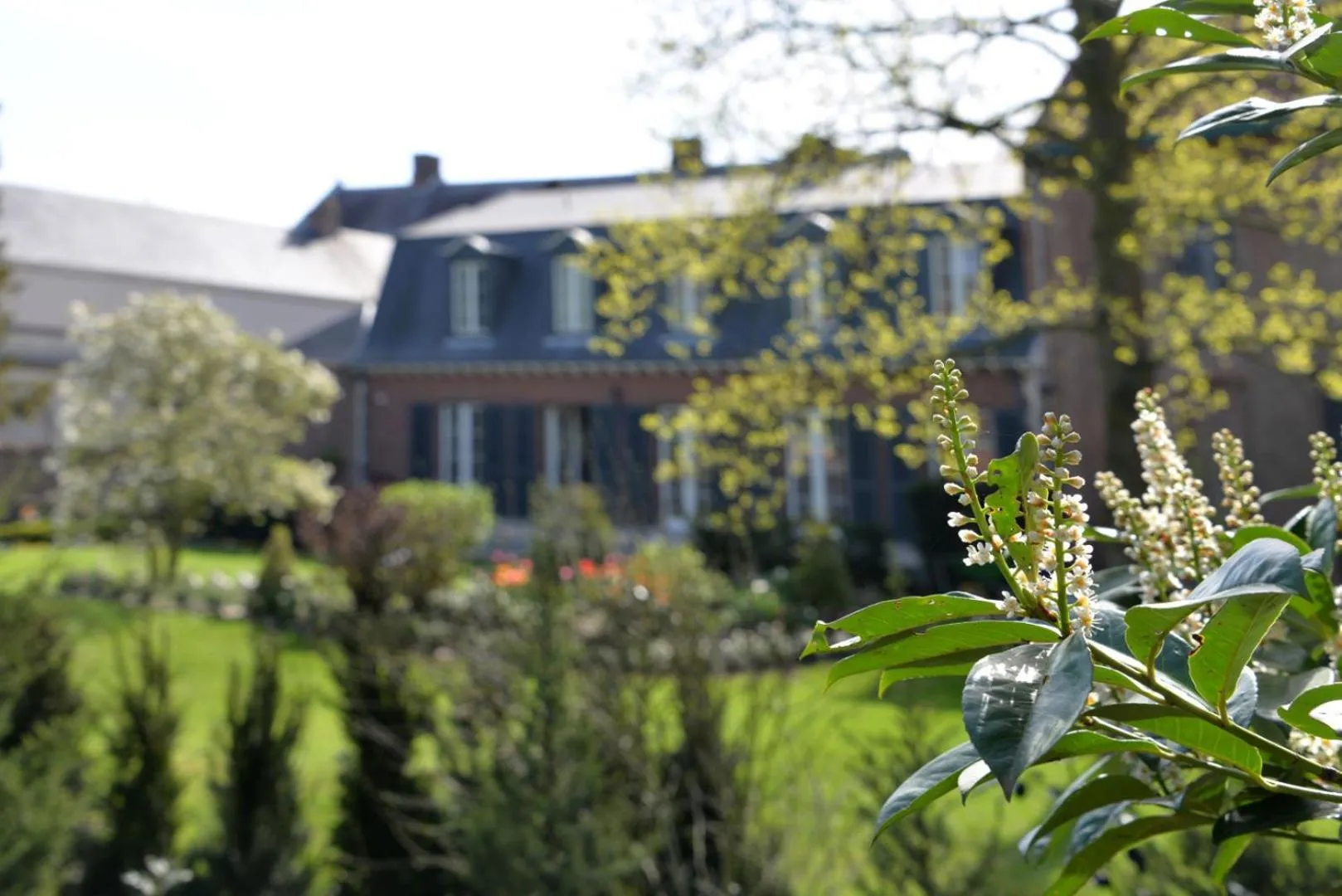 Notarishuis Beveren B&B