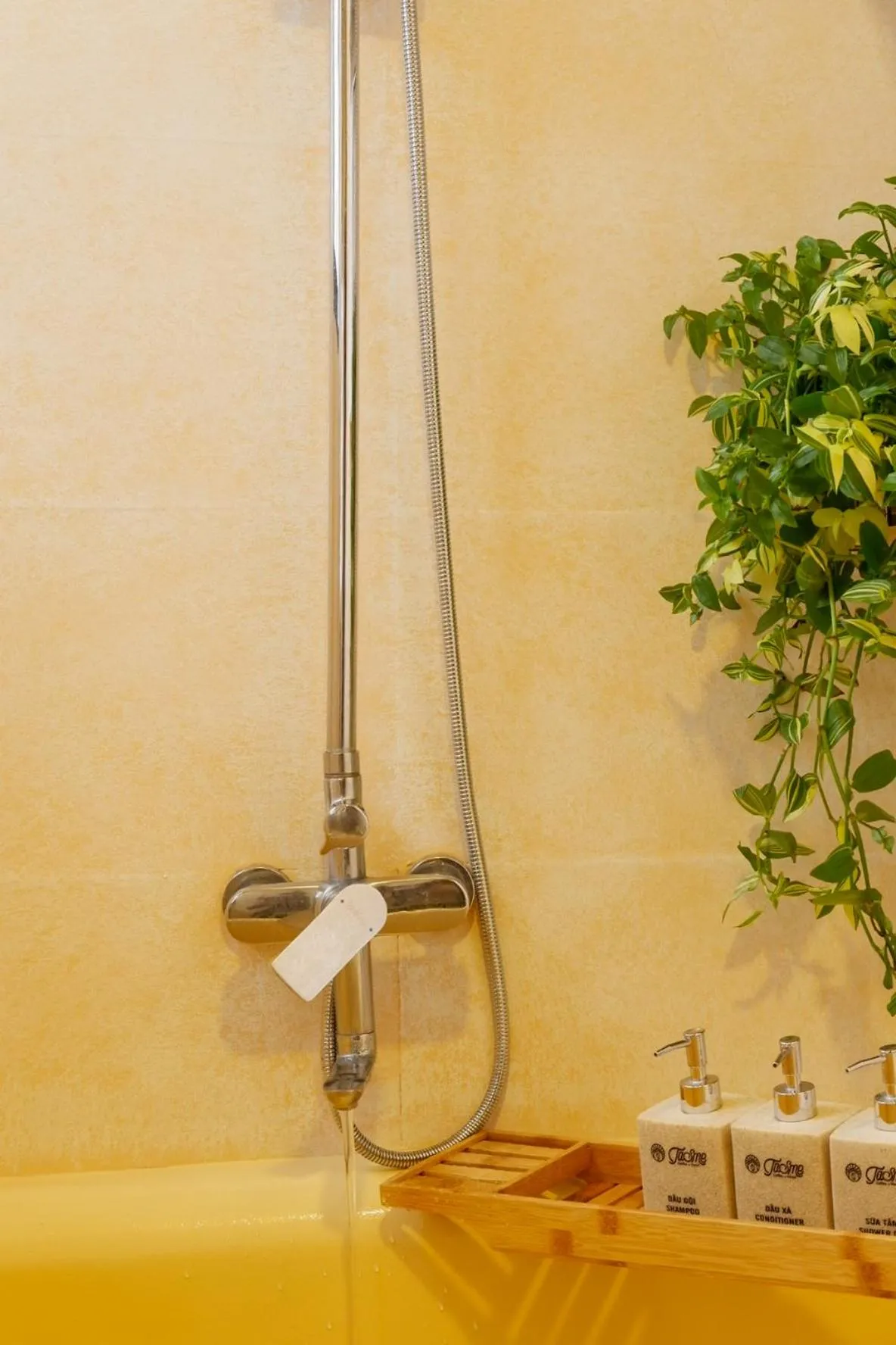 Shower in Tasme Hotel