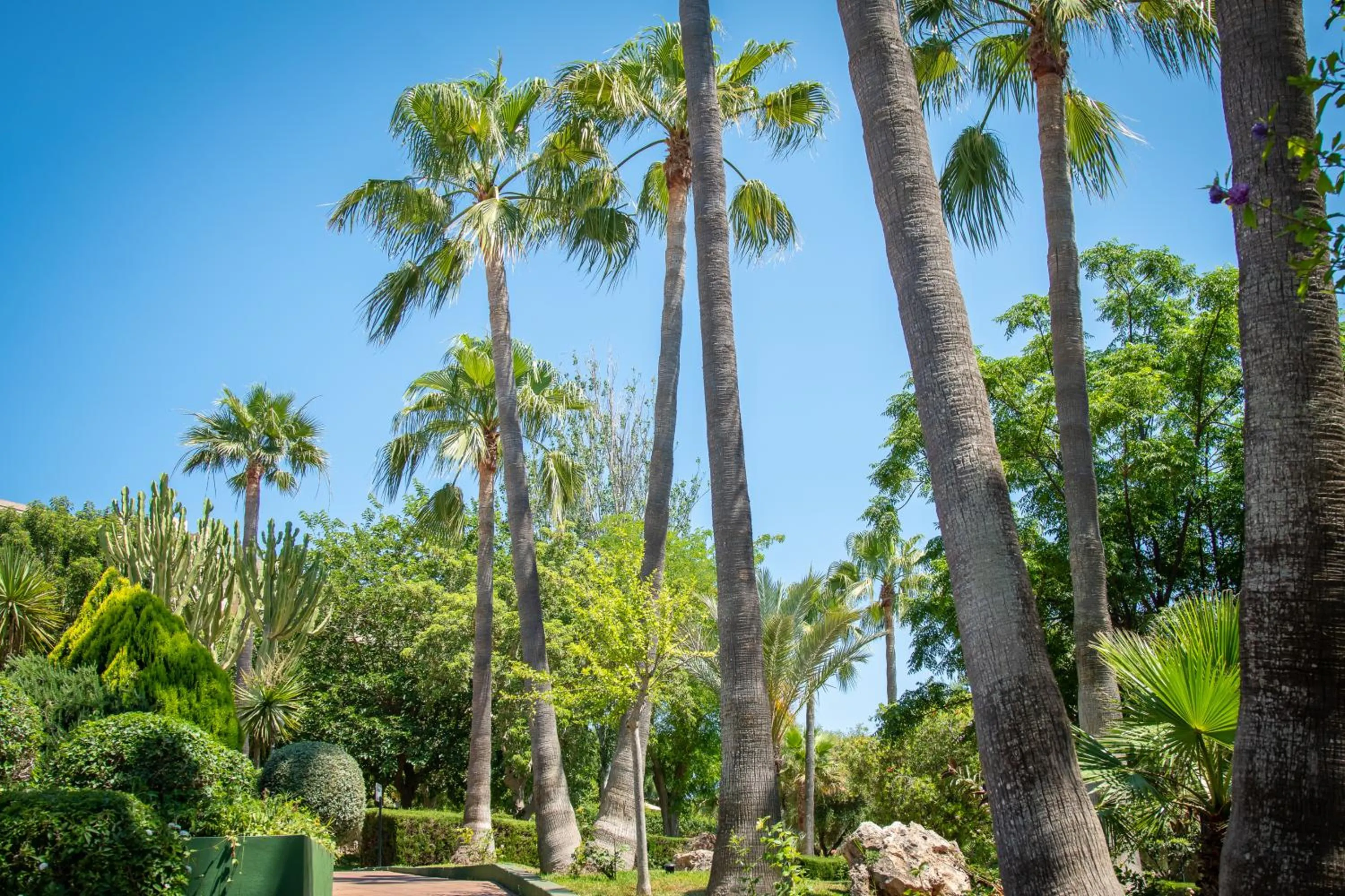 Garden in Hotel Club Cala Romani