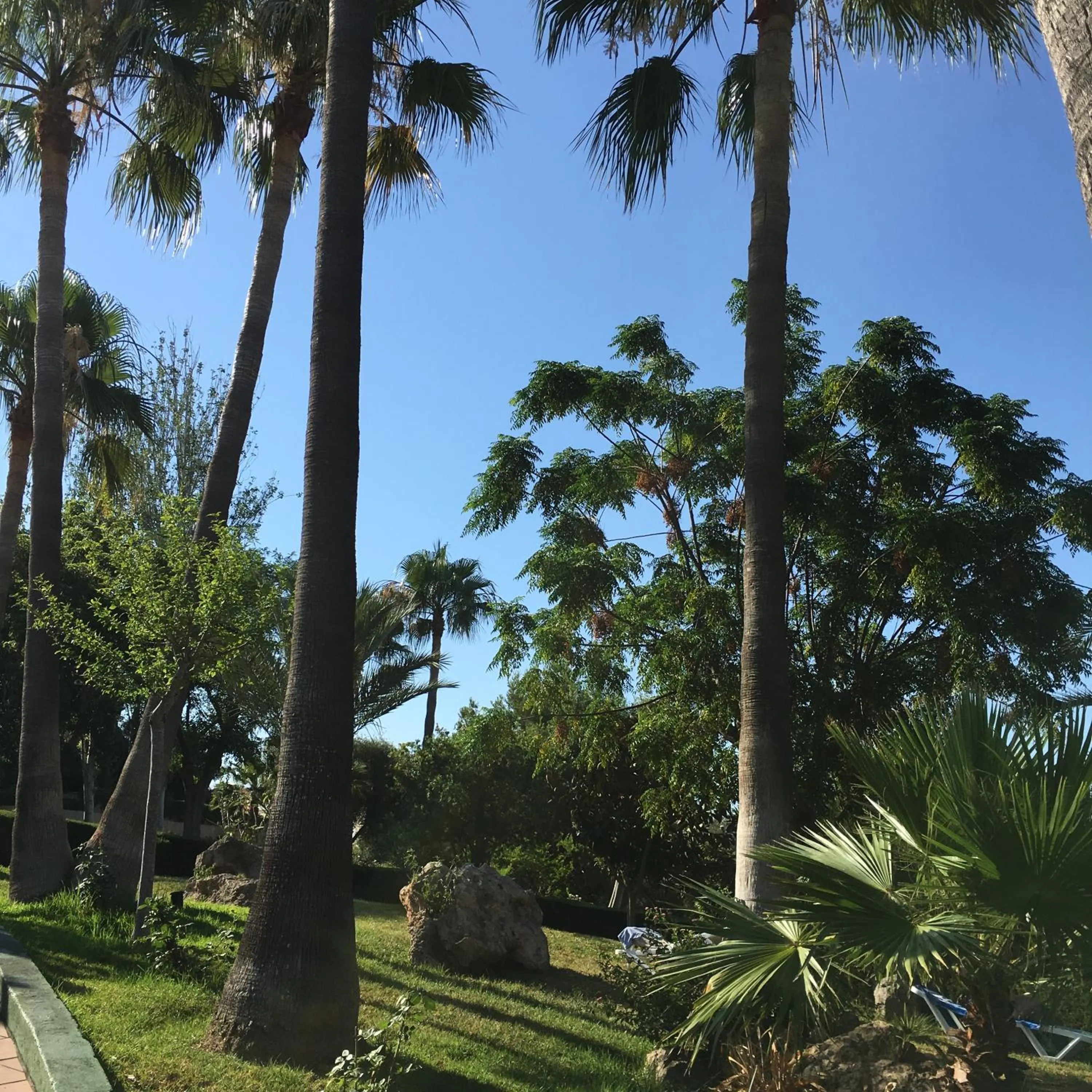 Garden in Hotel Club Cala Romani