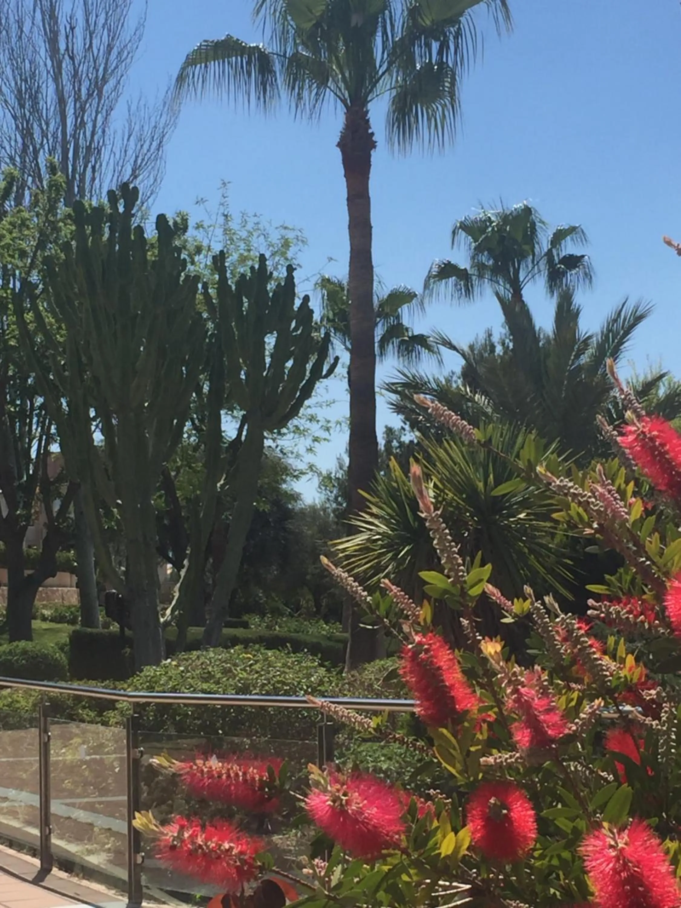 Garden in Hotel Club Cala Romani