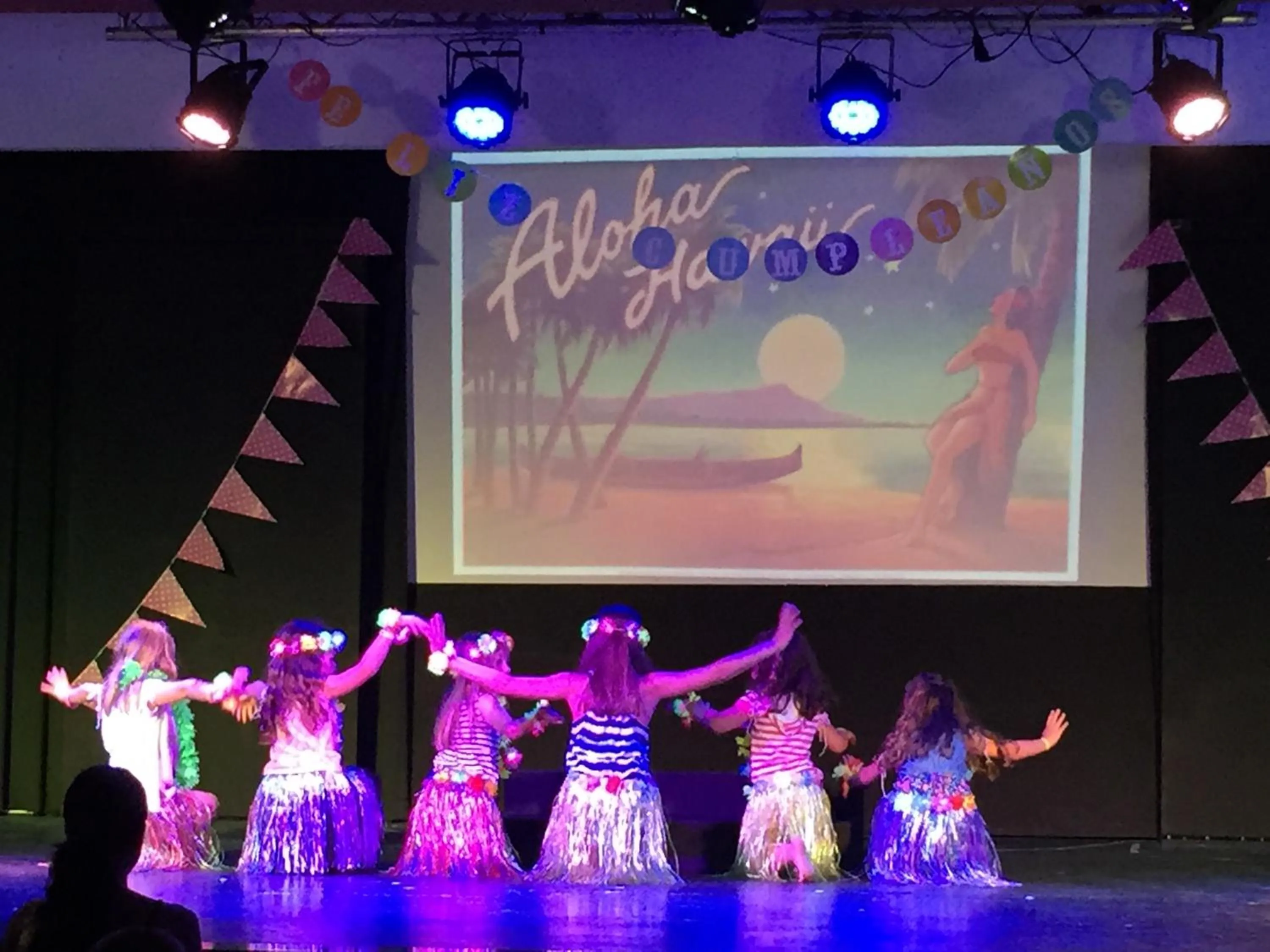 Evening entertainment in Hotel Club Cala Romani