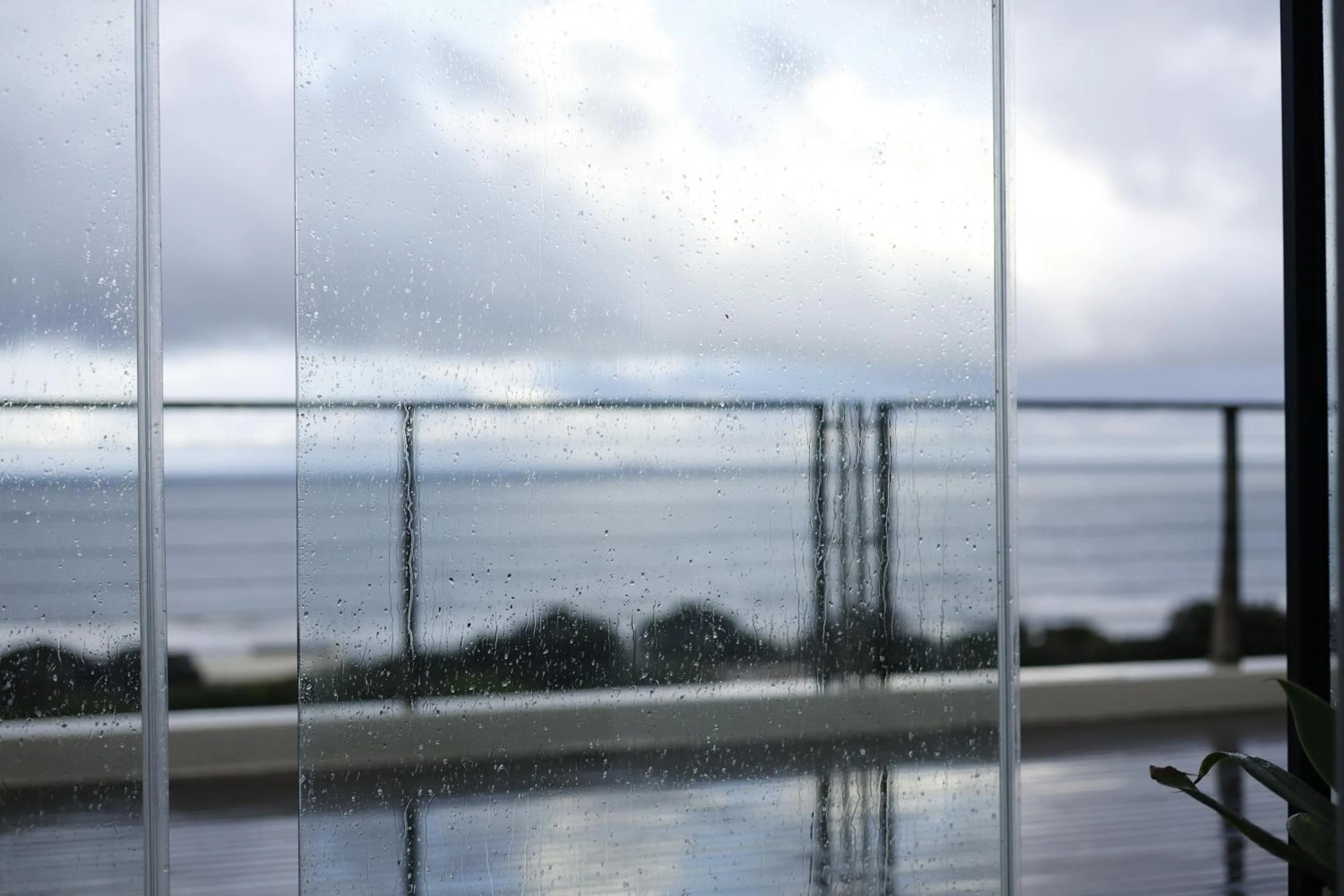 Natural landscape in Ocean Vista Boutique Guest House