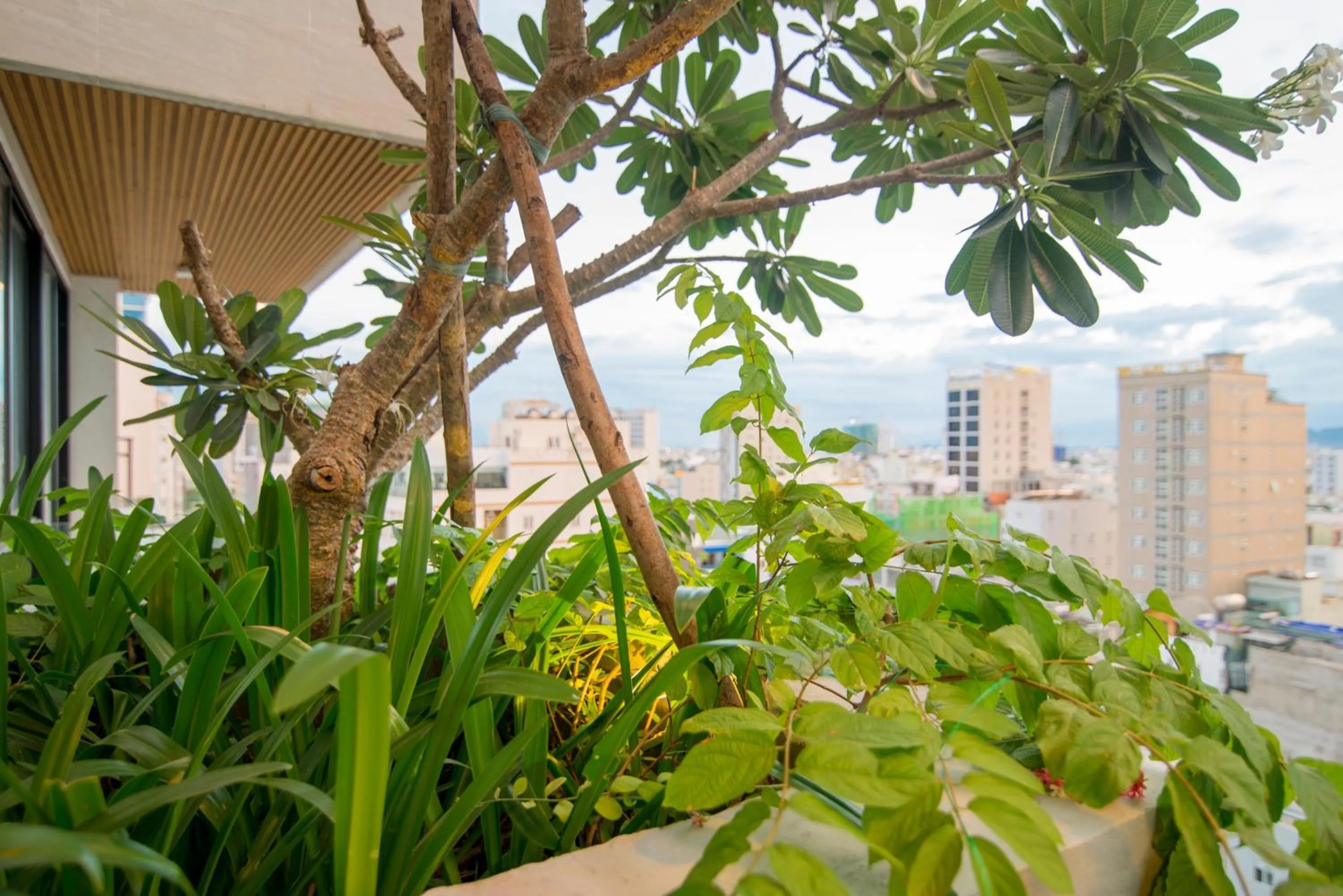 Balcony/Terrace in Soho Boutique Hotel