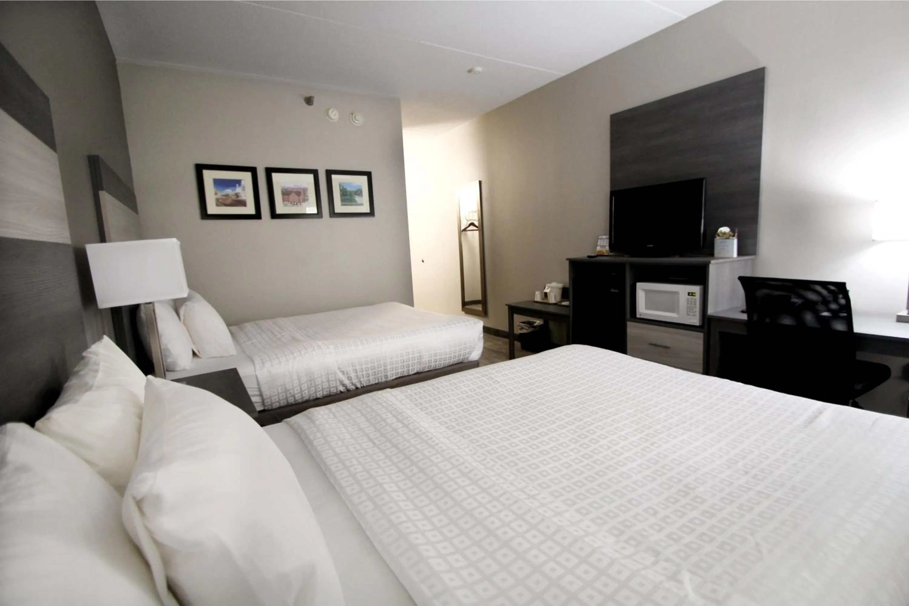 Photo of the whole room, Bed in Baymont by Wyndham Lafayette - Purdue University