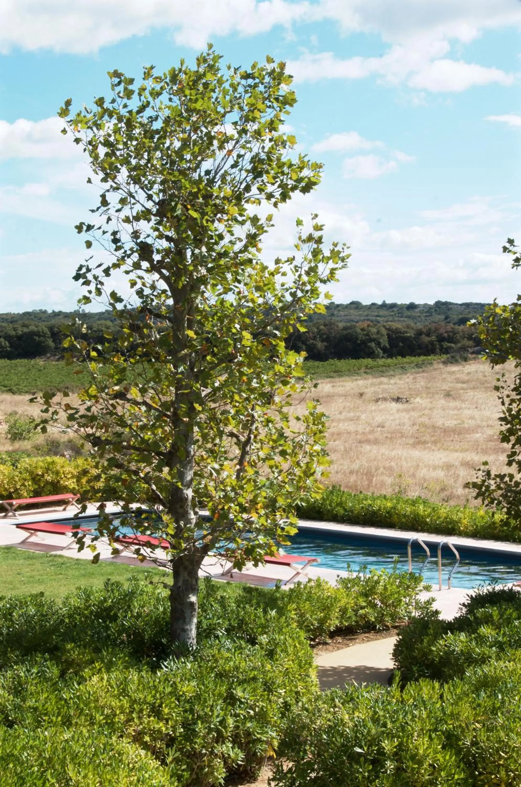 Swimming pool in Village Castigno - Wine Hotel & Resort