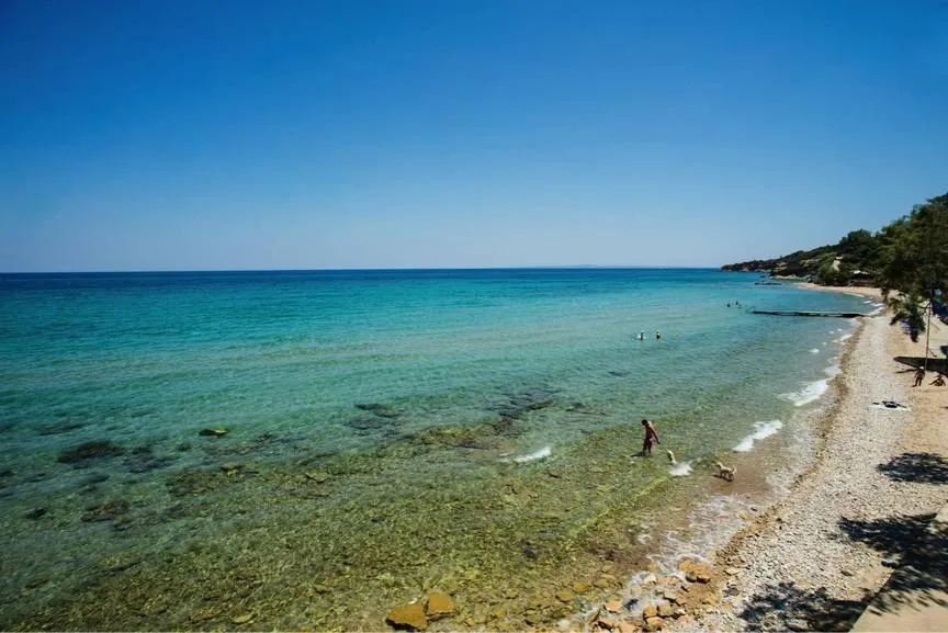 Beach in Amboula Beach Apartments