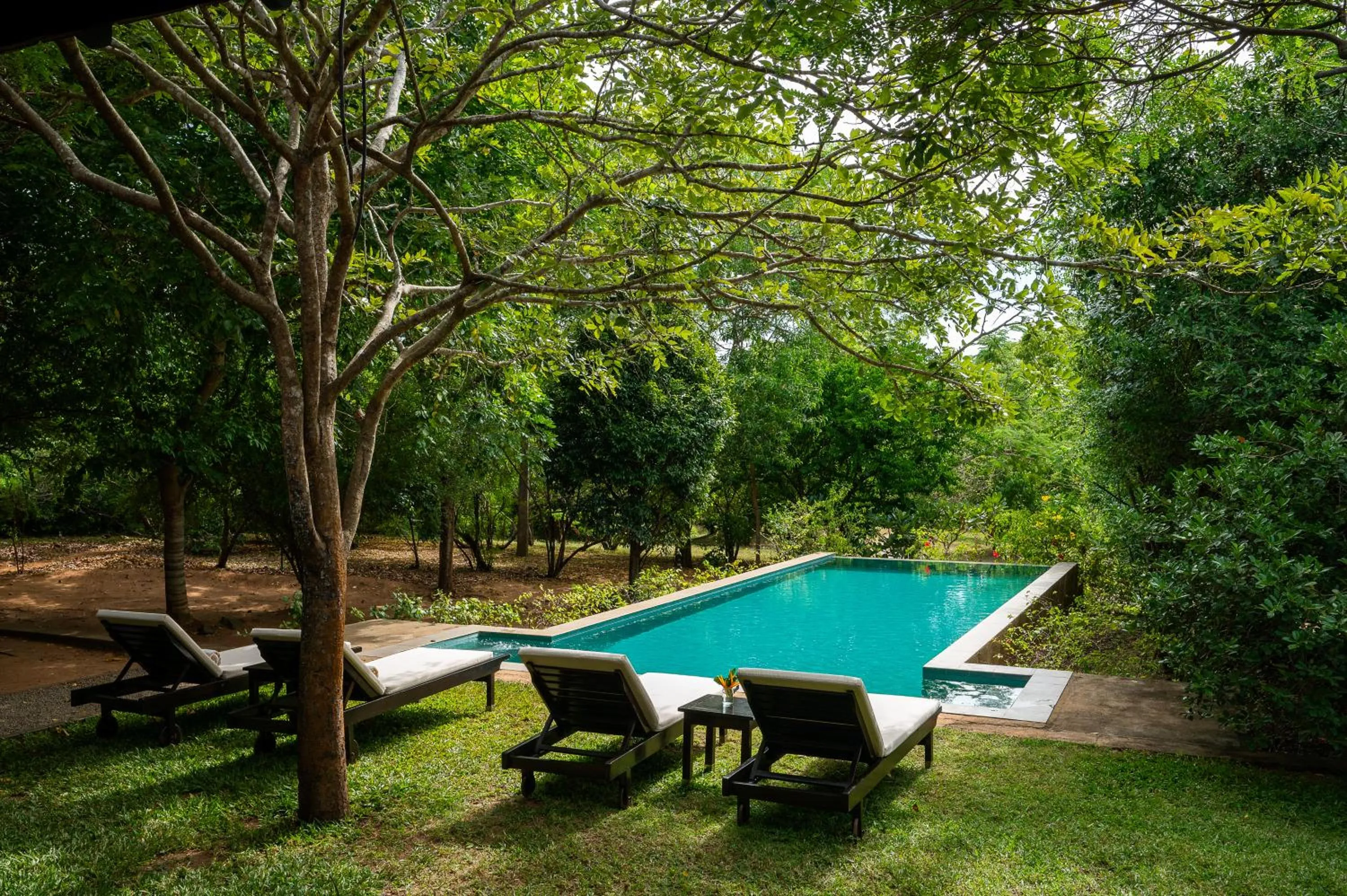 Day in Nyne Hotels Mayur Lodge - Yala - All Inclusive