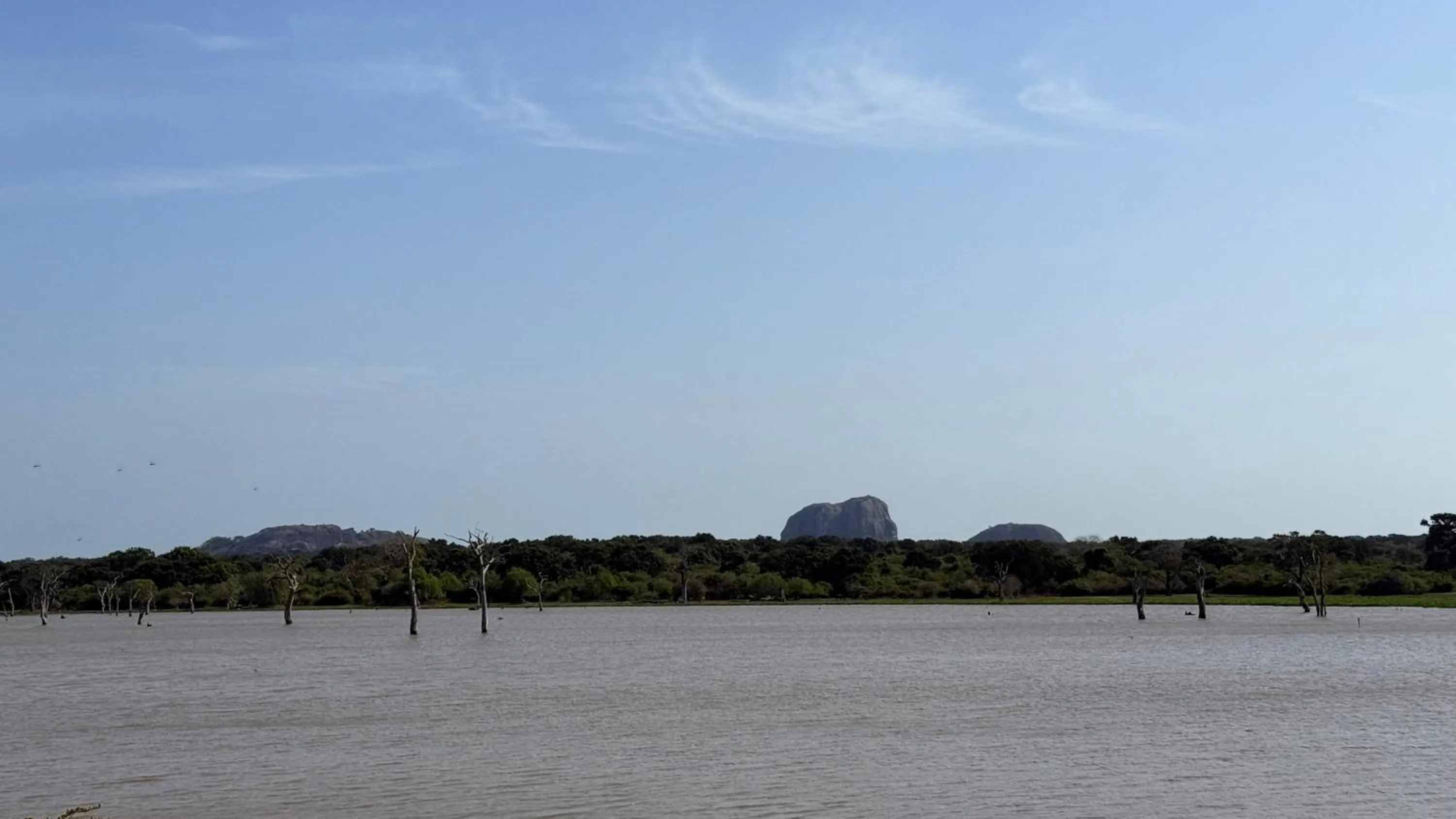 Natural landscape in Nyne Hotels Mayur Lodge - Yala - All Inclusive